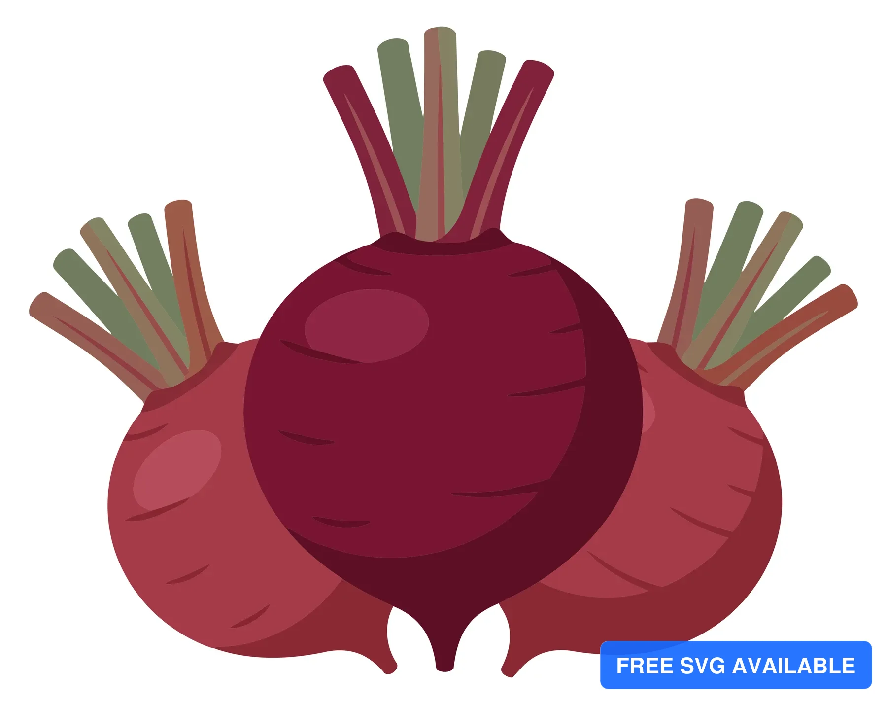fresh organic beetroots with green leaves isolated on white background