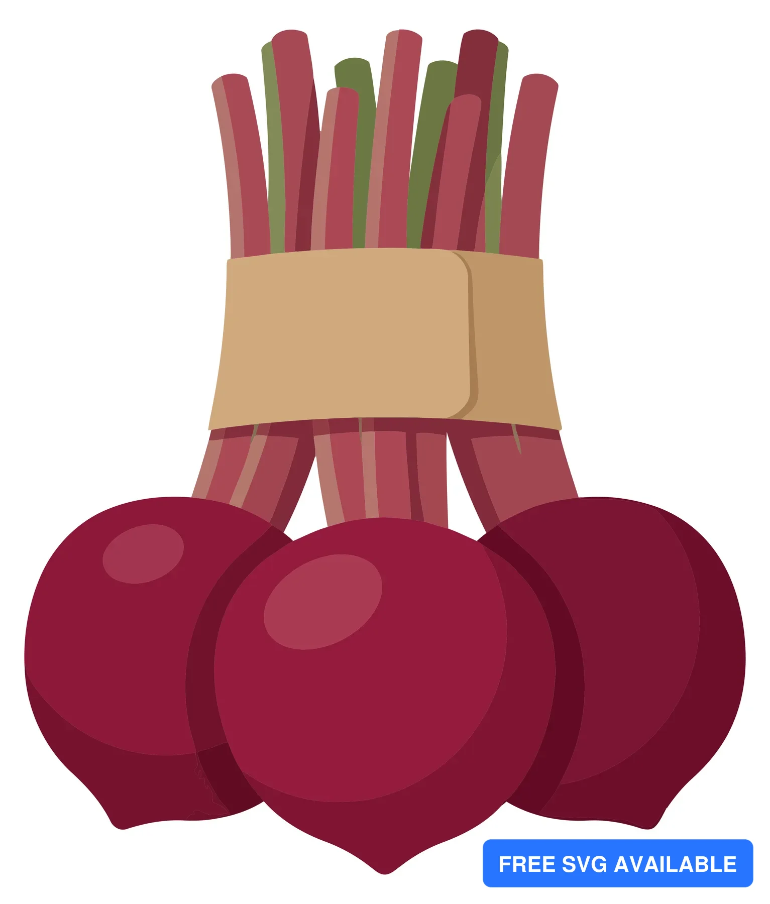 fresh organic beetroots with green leaves tied together with a paper band, healthy raw vegetable harvest, flat vector illustration
