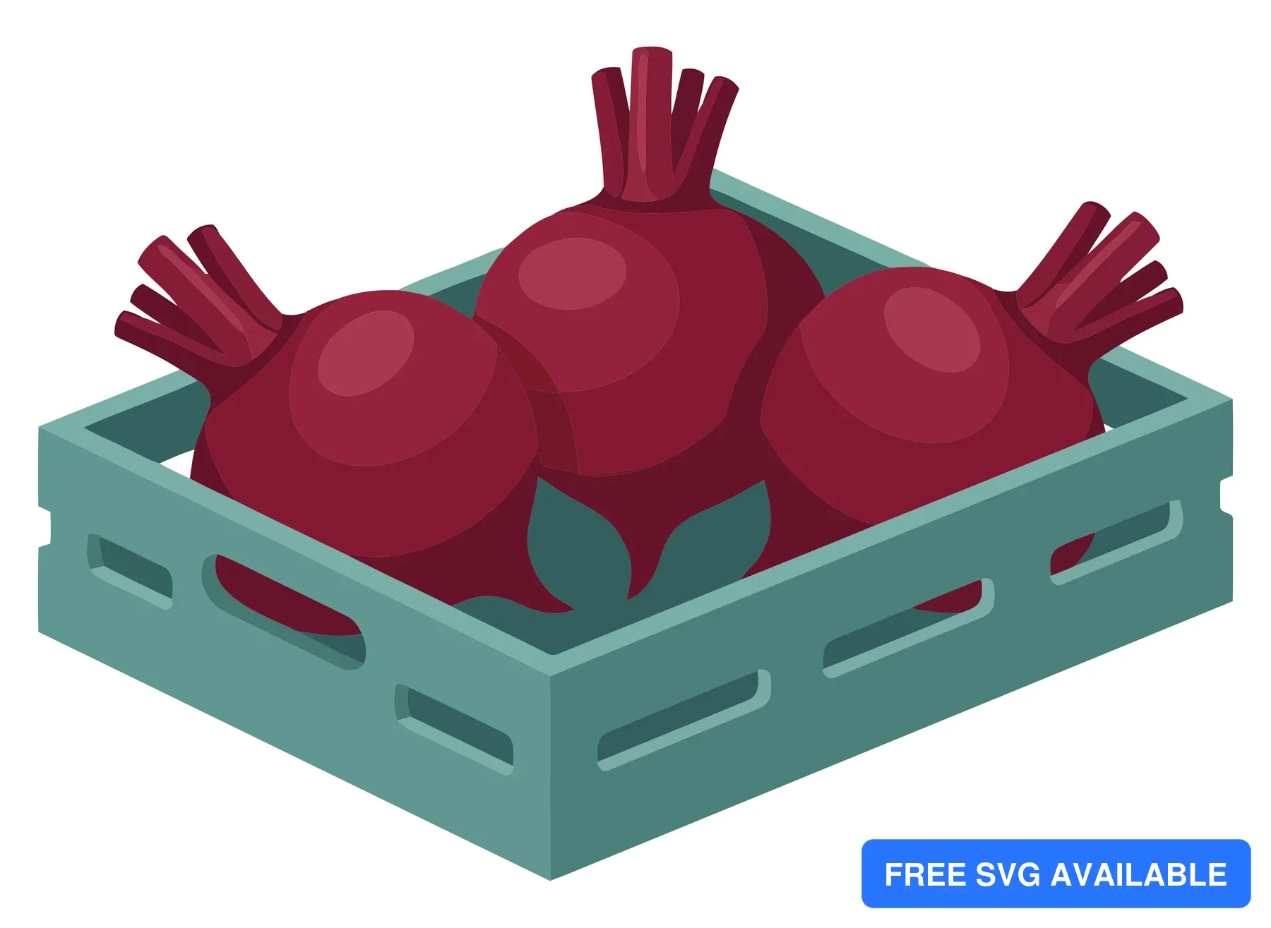 fresh red beetroots in a wooden crate, organic vegetables for healthy eating, harvest concept, vector illustration