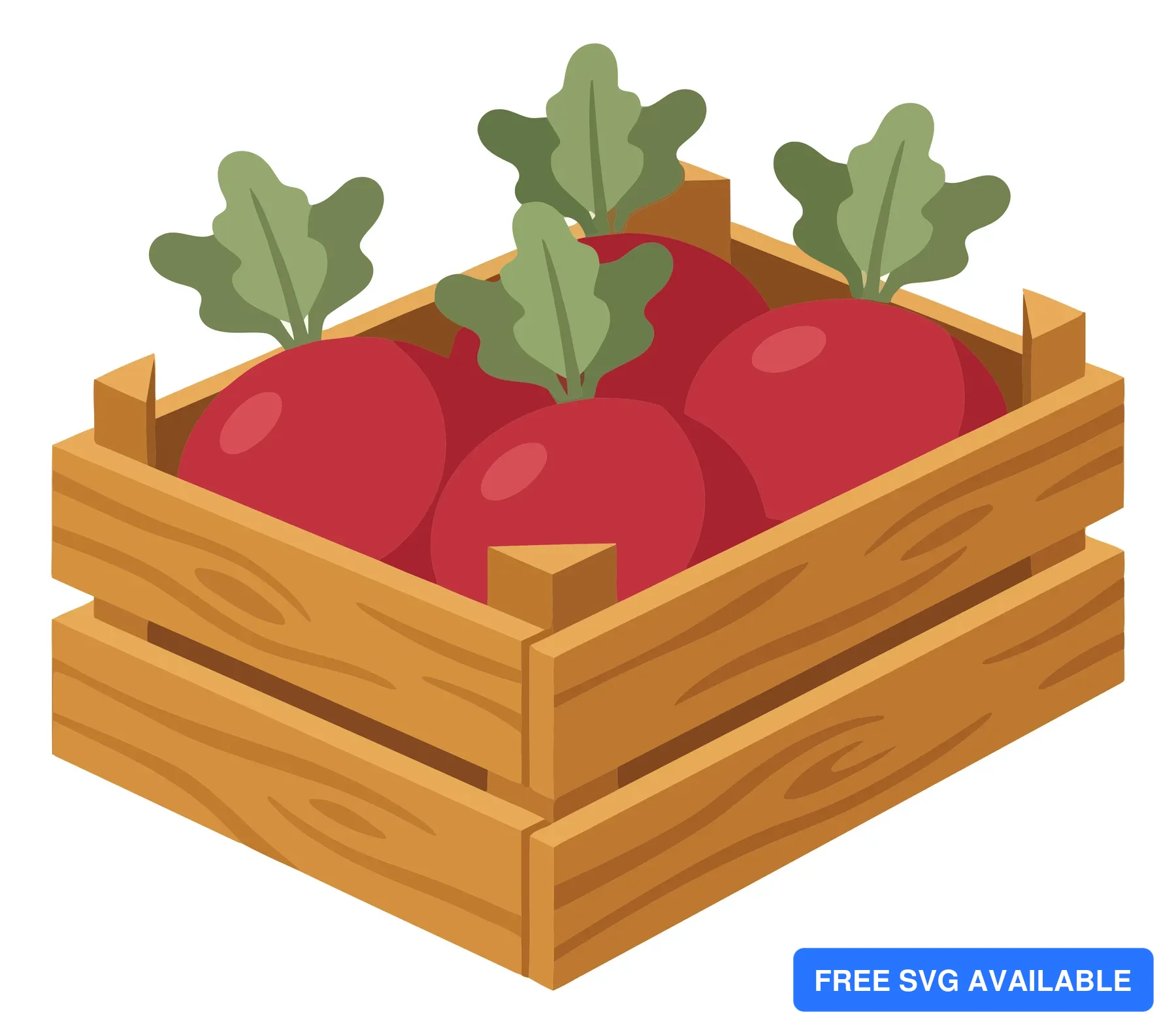 fresh red radishes with green leaves in a wooden crate, farm harvest vegetable illustration isolated on white background