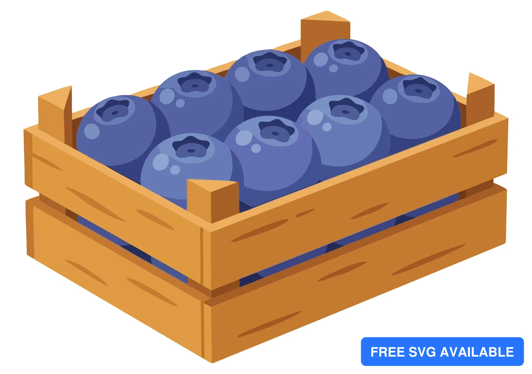 fresh ripe blueberries in a small wooden crate isolated on white background