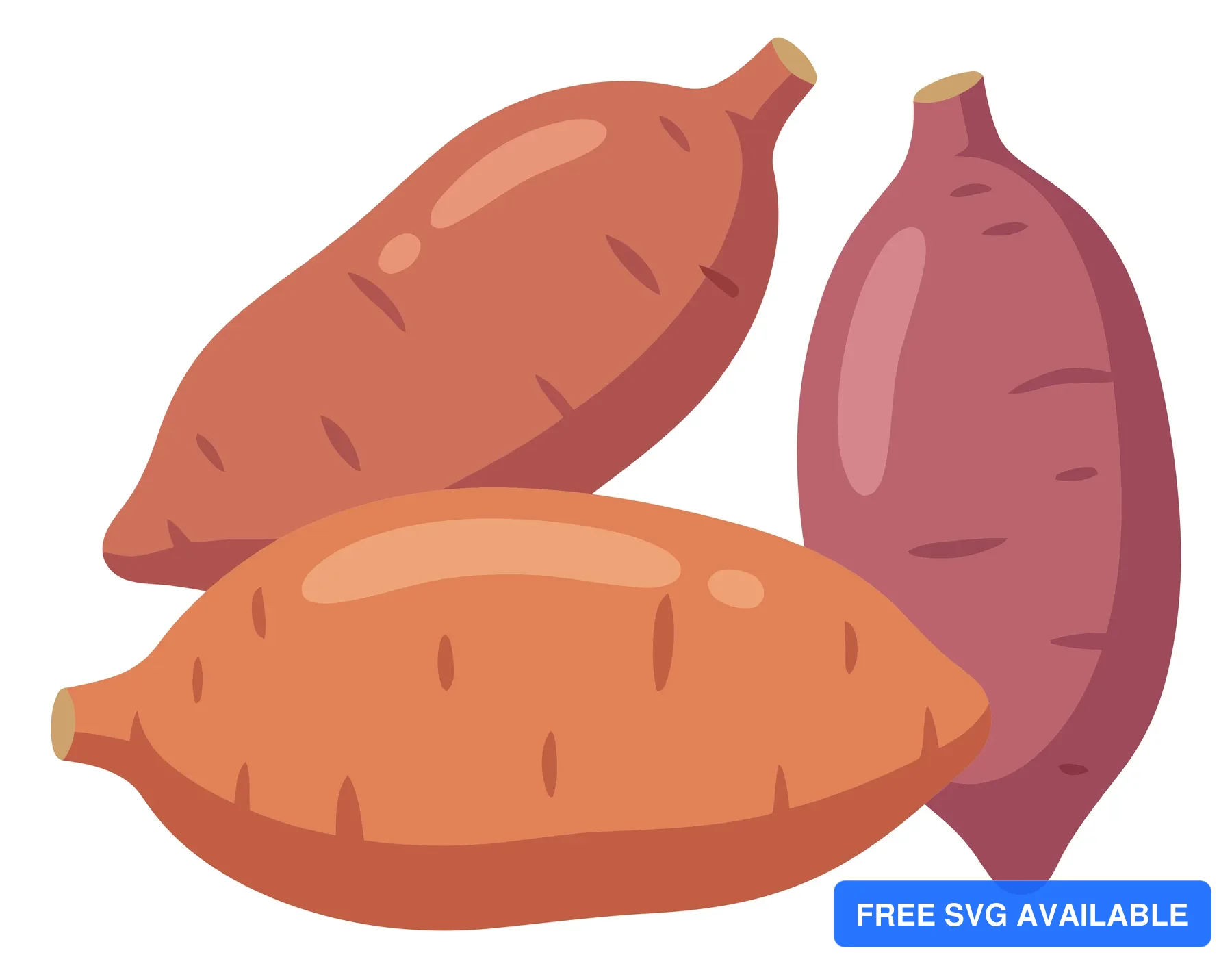 fresh sweet potatoes, brown and purple varieties isolated on white background