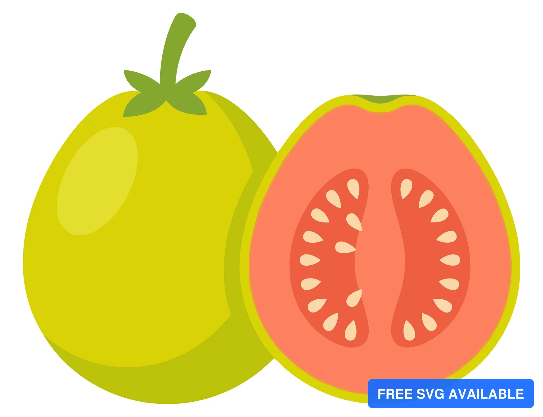 fresh whole and sliced guava fruit with pink pulp and seeds isolated on white background