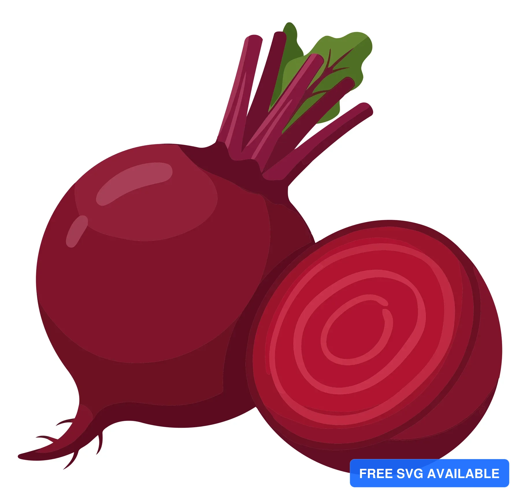 fresh whole beetroot with green leaves and a sliced half showing internal rings isolated on white background
