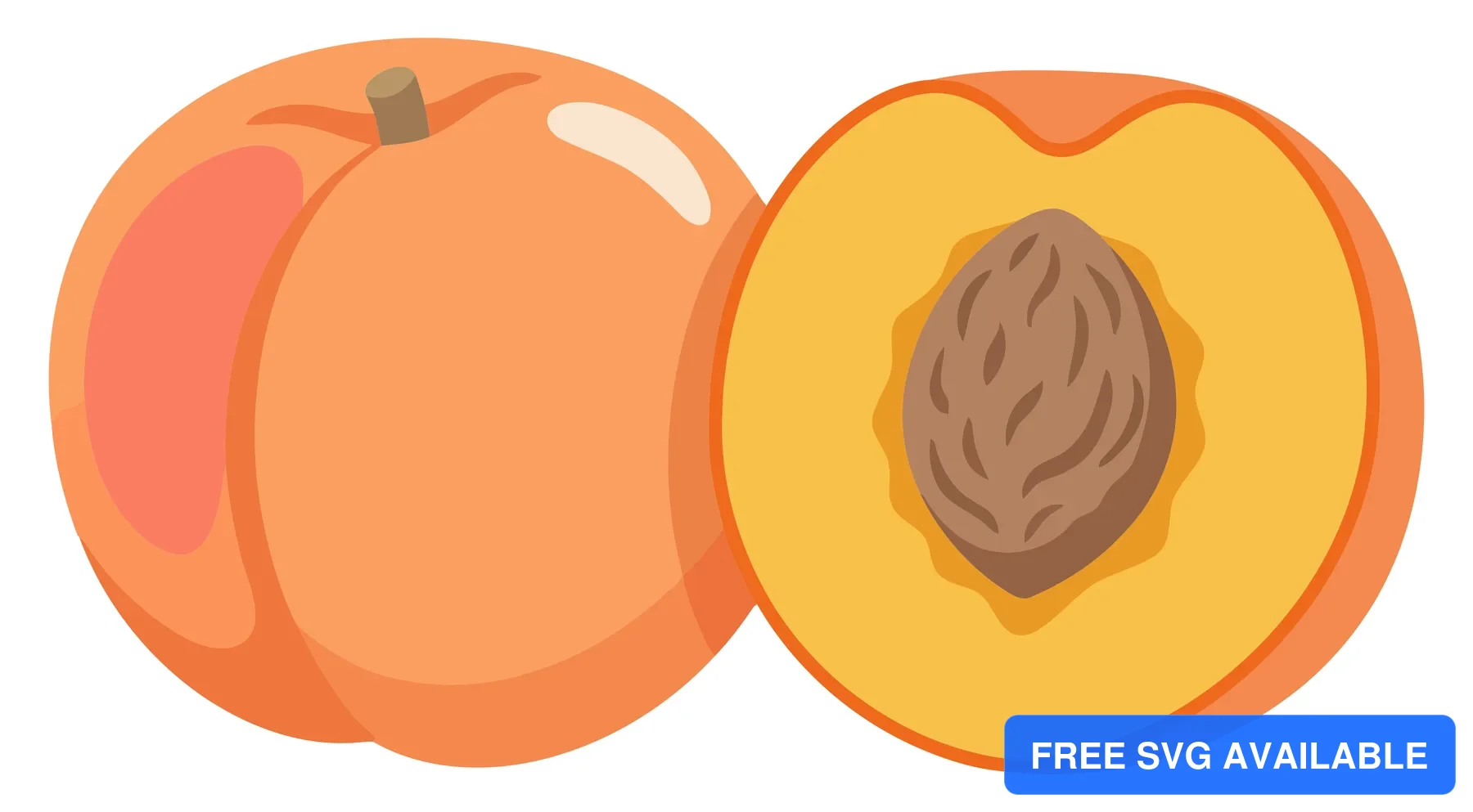 fresh whole peach and a half with pit isolated on white background