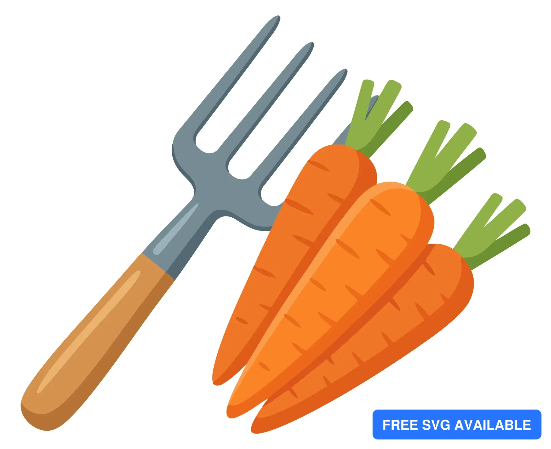 garden fork with fresh carrots isolated on white background