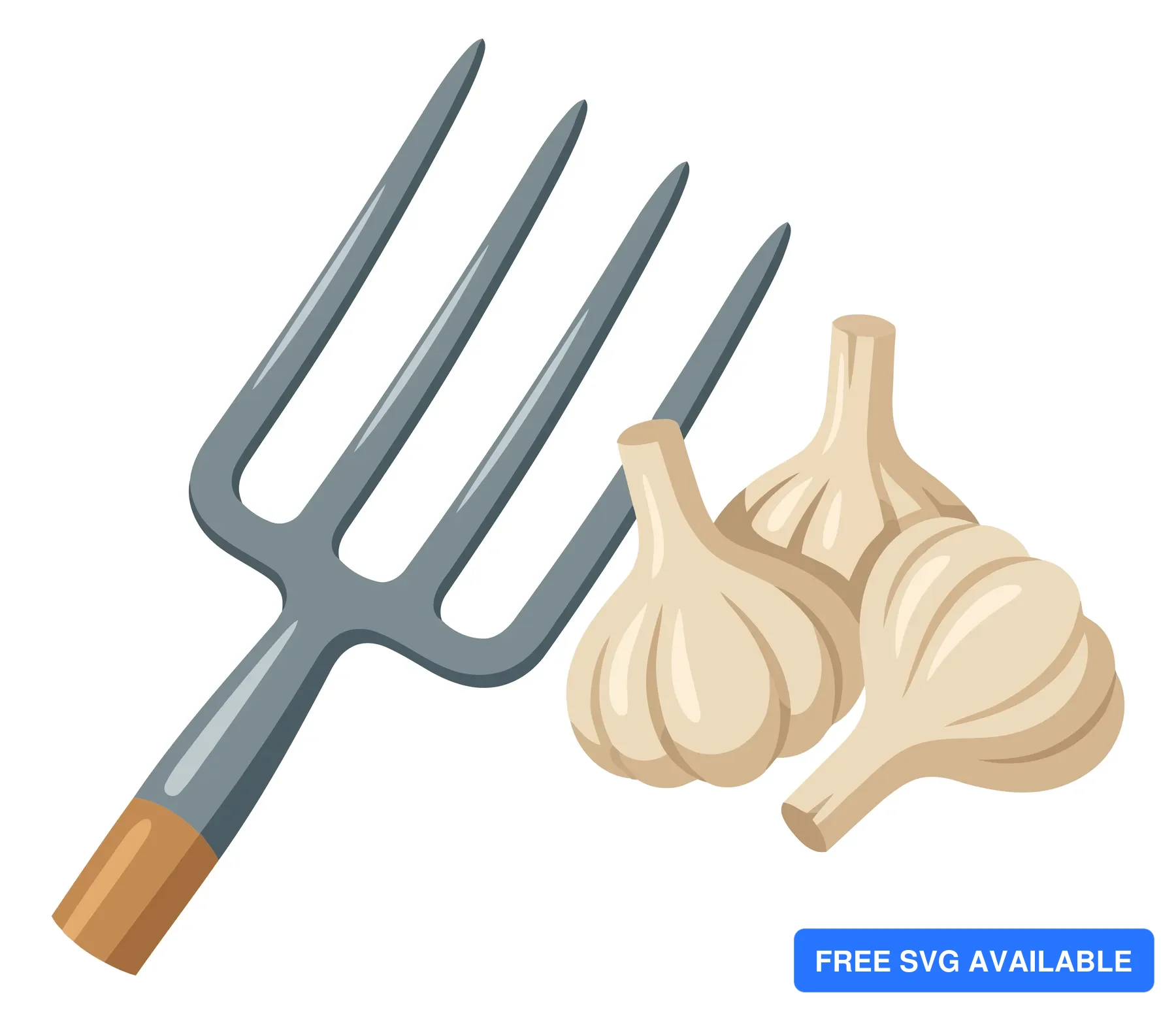 garden fork with fresh garlic bulbs isolated on white background