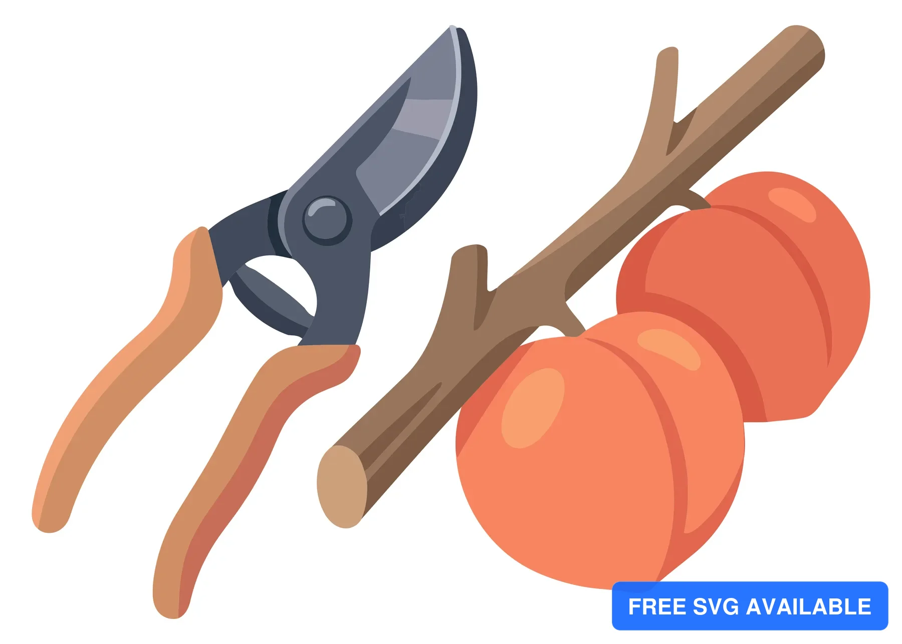 garden pruning shears next to a wooden branch with two ripe peaches, agricultural harvesting concept, flat vector illustration