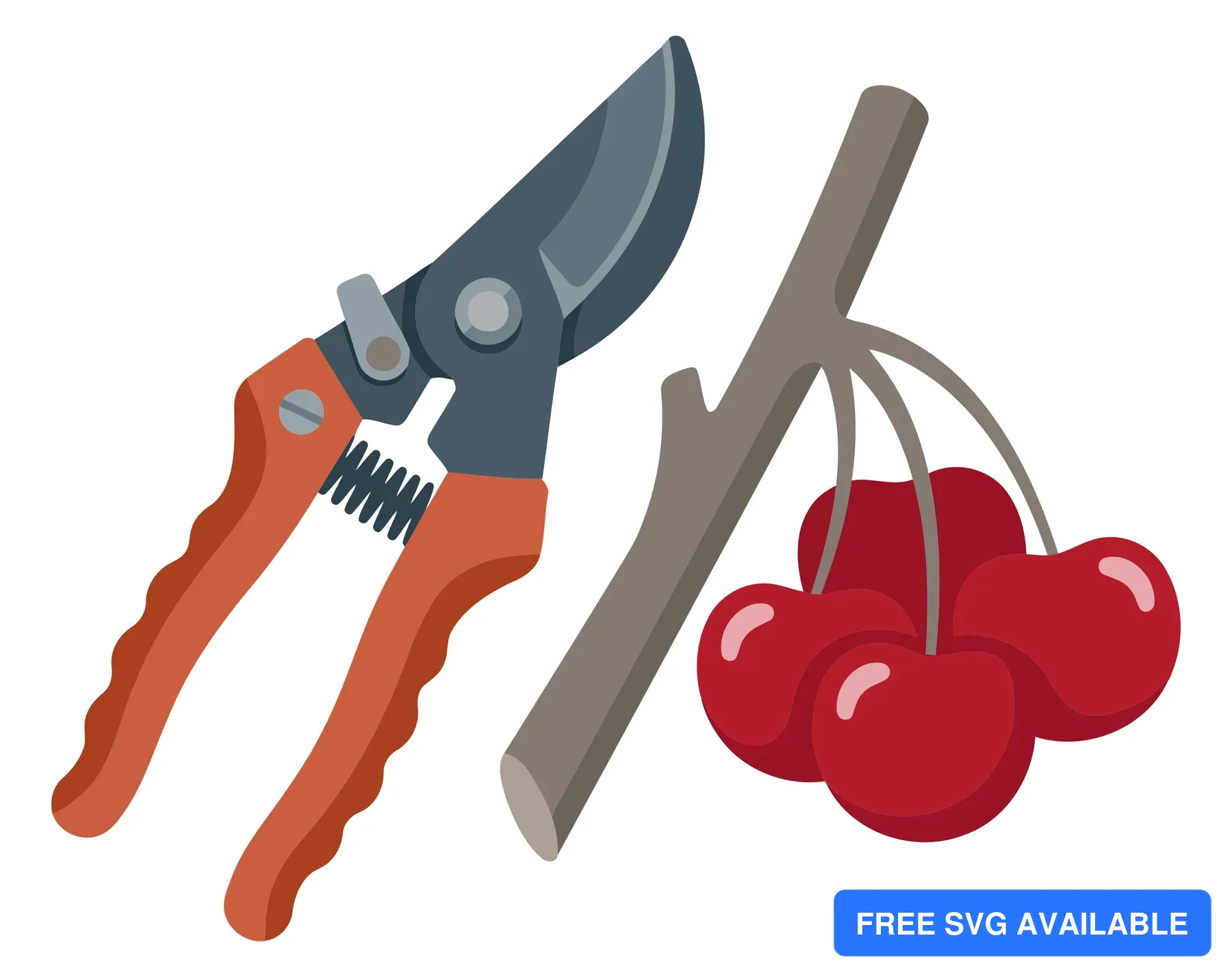 garden pruning shears with orange handles next to a small branch with fresh red cherries isolated on white background