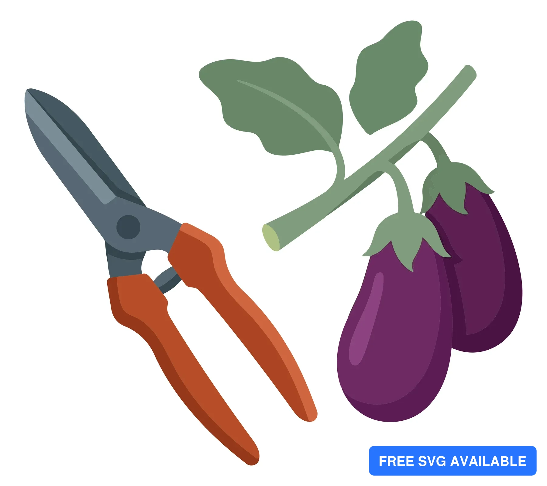 garden shears and eggplants on a stem with leaves isolated on white background