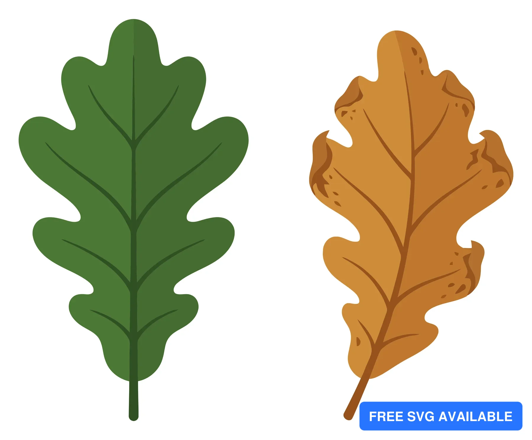 green and brown oak leaves