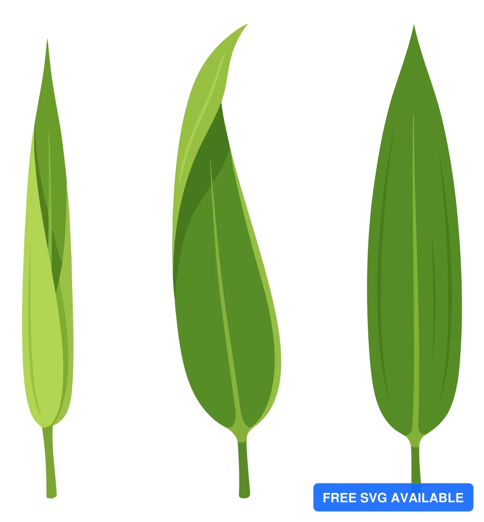 green bamboo leaves collection vector illustration isolated on white background