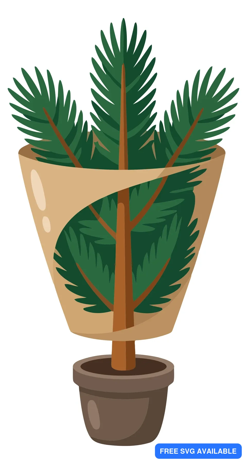 growing pine tree plant in a pot with wrapped protection