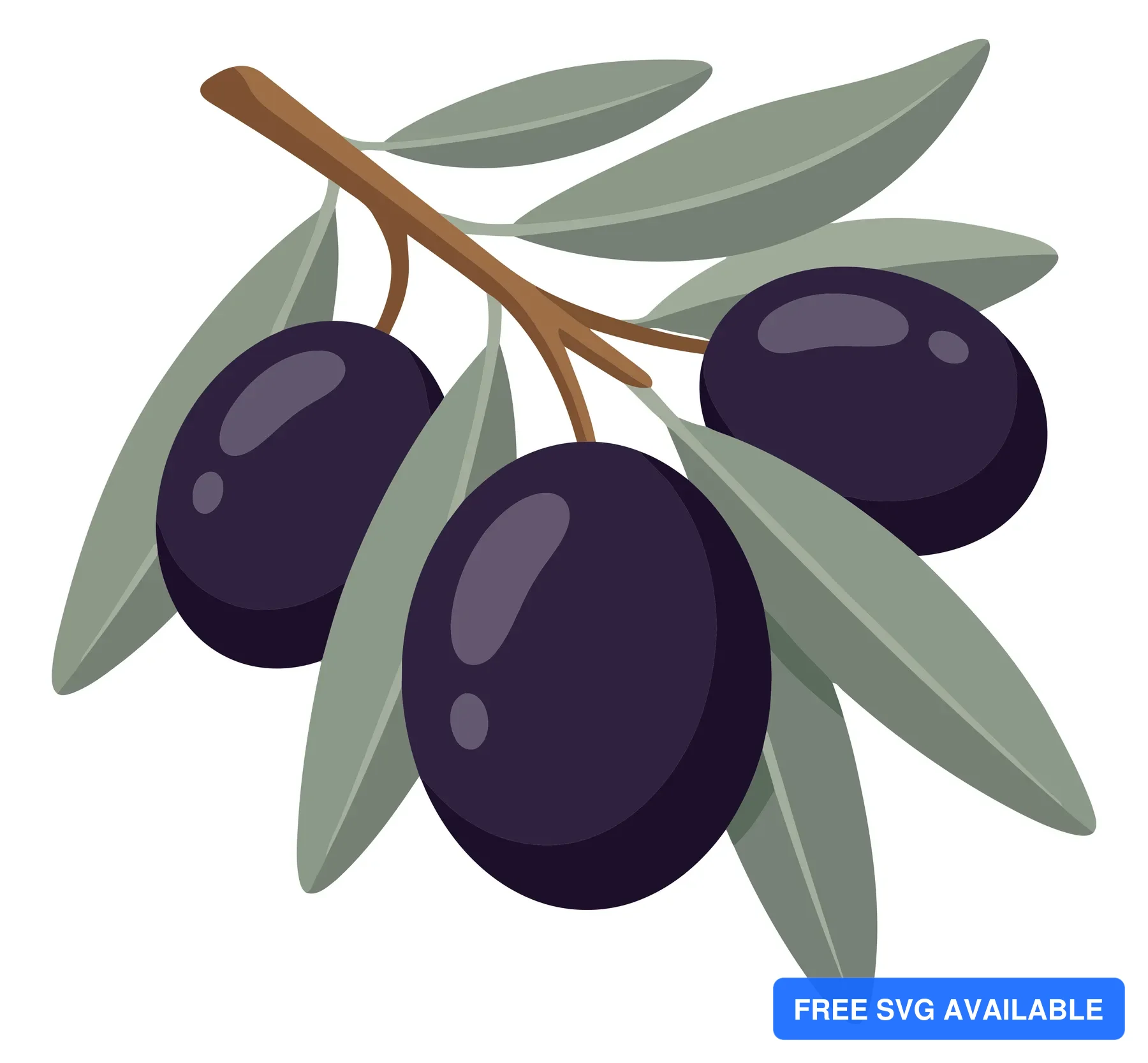 illustration of a branch with three ripe black olives and green leaves, flat vector design element for culinary or mediterranean food themes