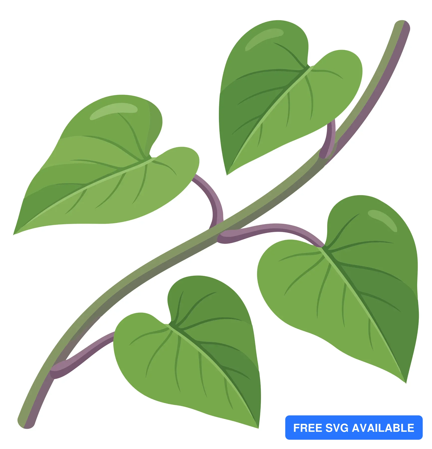 illustration of a green vine branch with heartshaped leaves isolated on white background