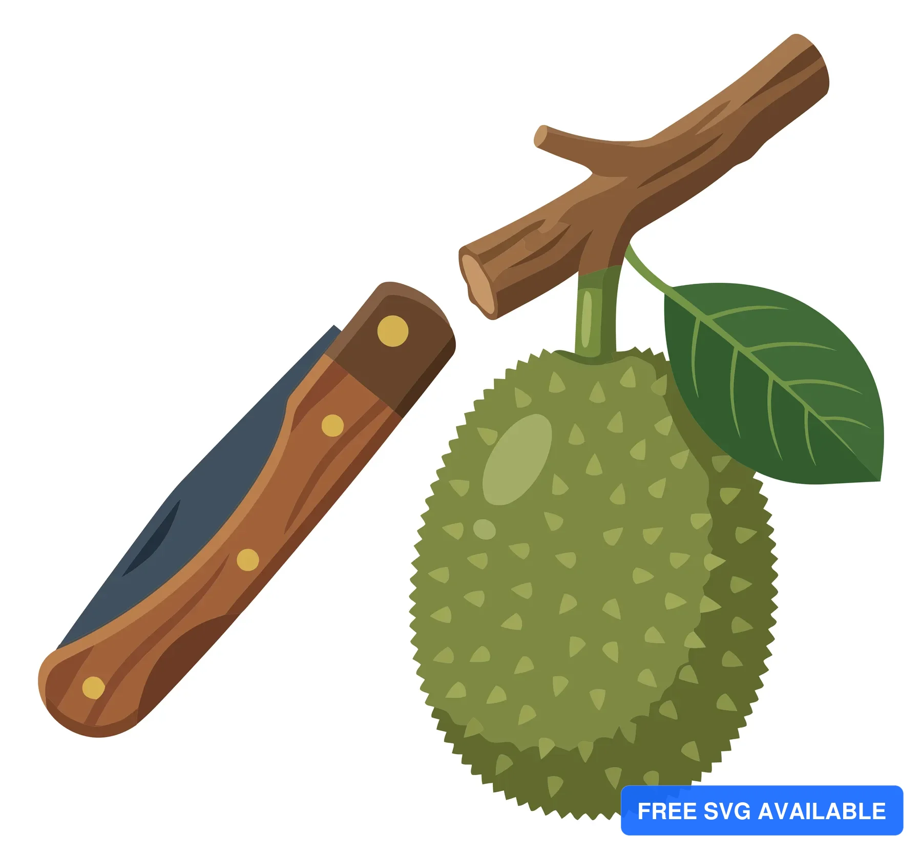jackfruit hanging on a branch with a pocket knife