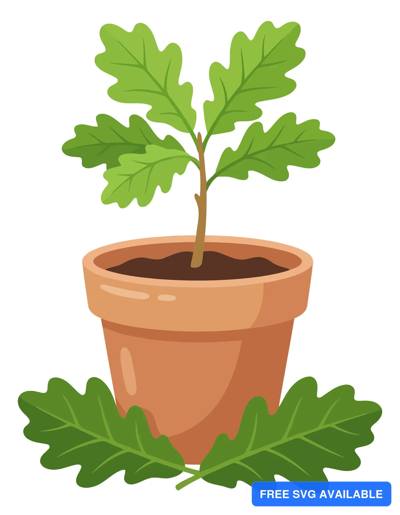 oak sapling in a terracotta pot vector illustration