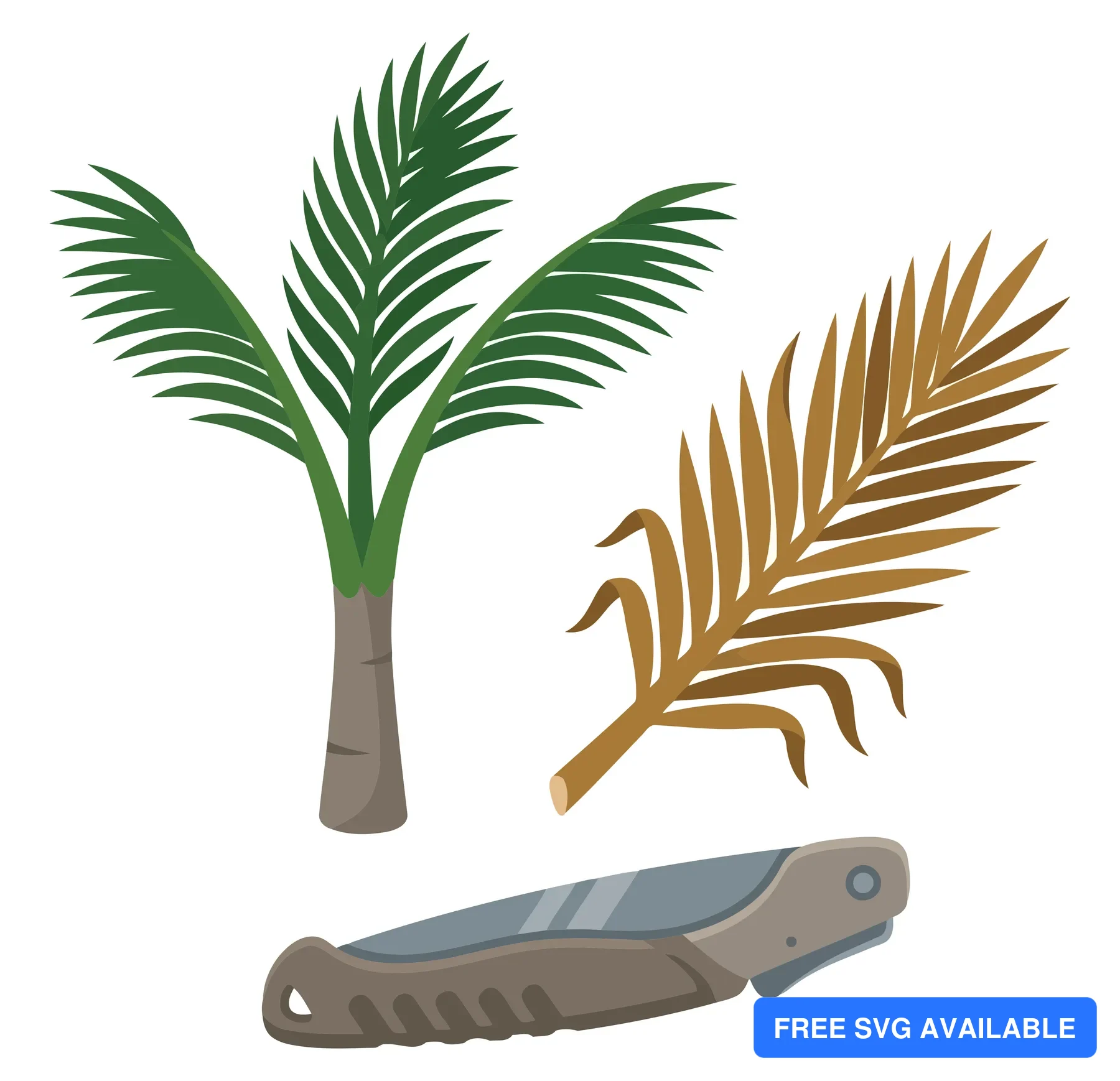 palm tree, dried palm frond and pocket knife