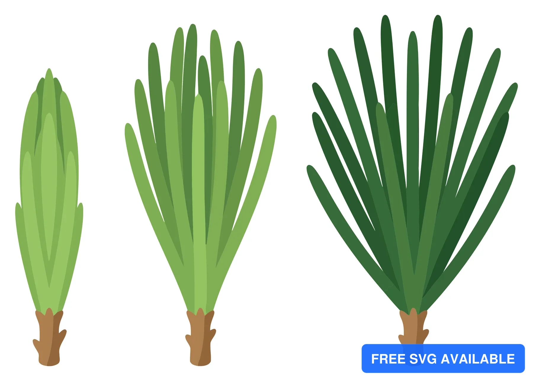 pine needles growth stages set isolated on white background