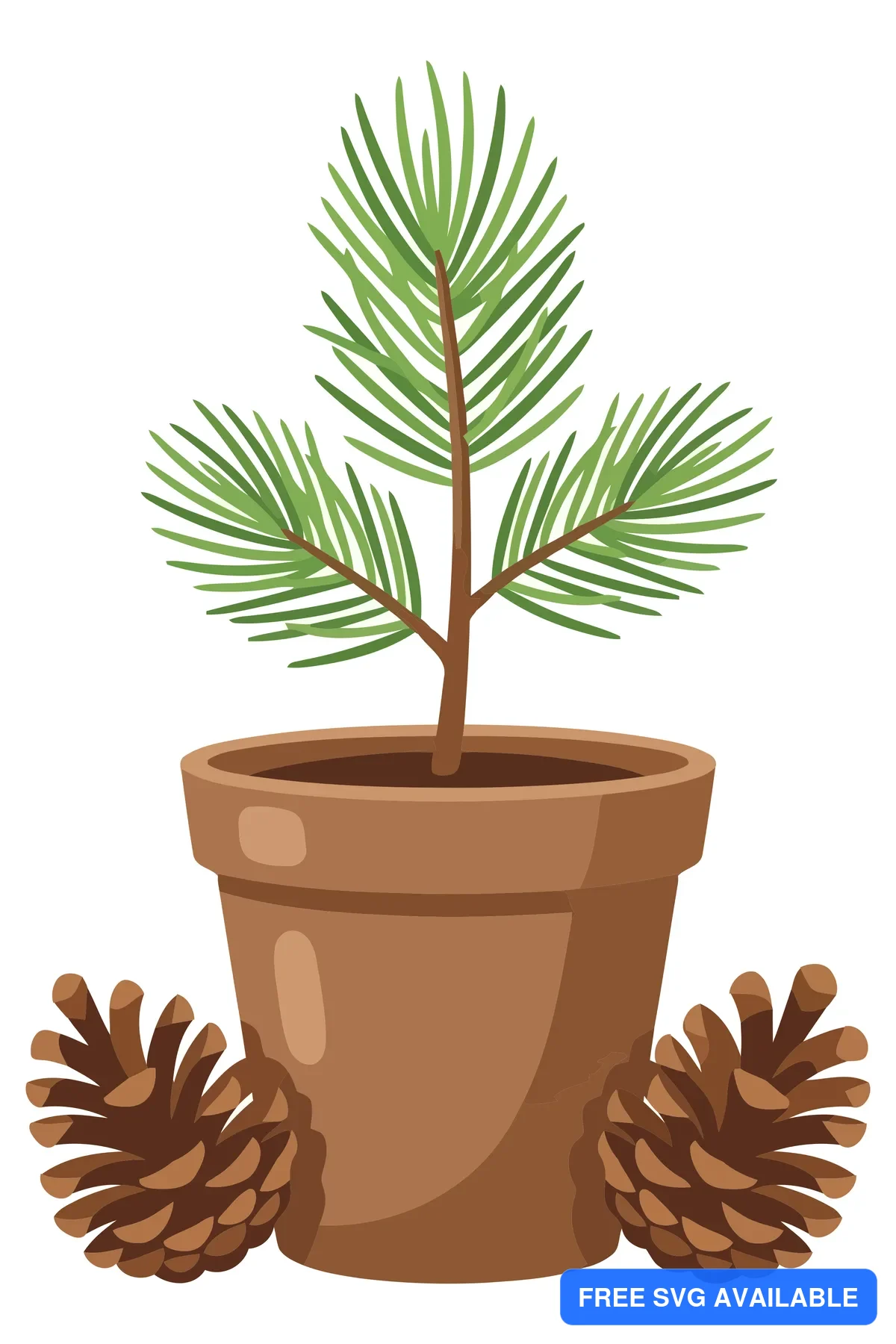 pine tree sapling in clay pot with pinecones isolated on white background