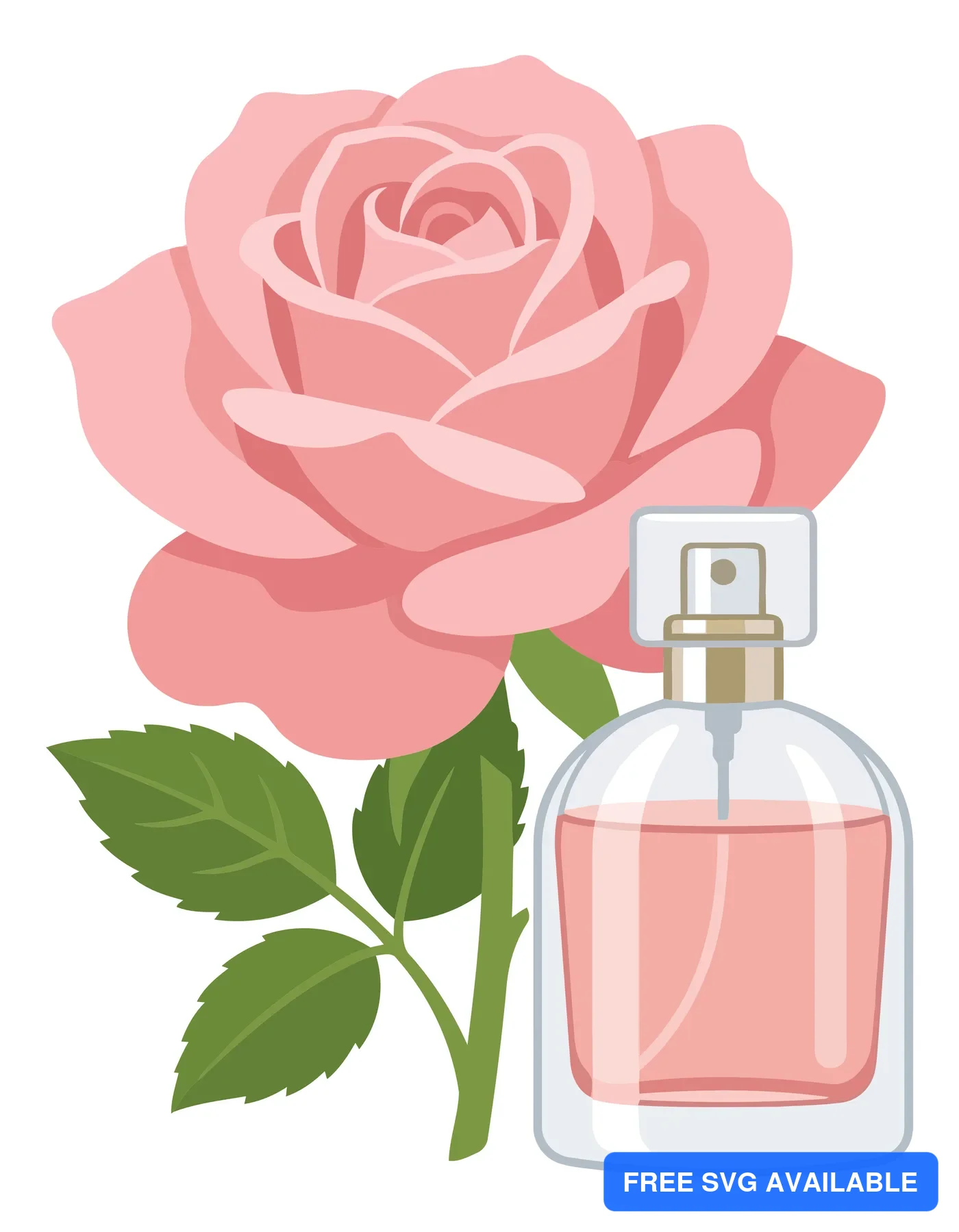 pink rose flower and perfume bottle isolated on white background