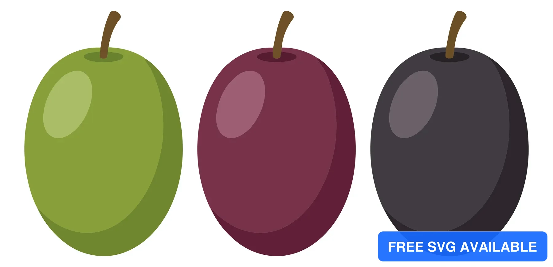 ripe olives in different stages of ripening isolated on white background