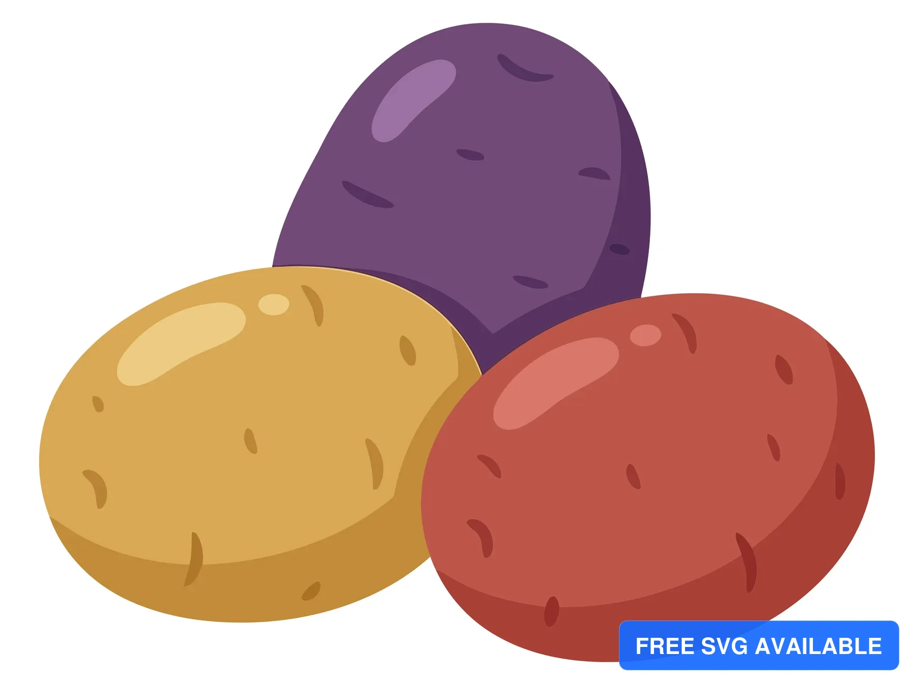 set of three different types of potatoes including yellow, red and purple varieties isolated on white background