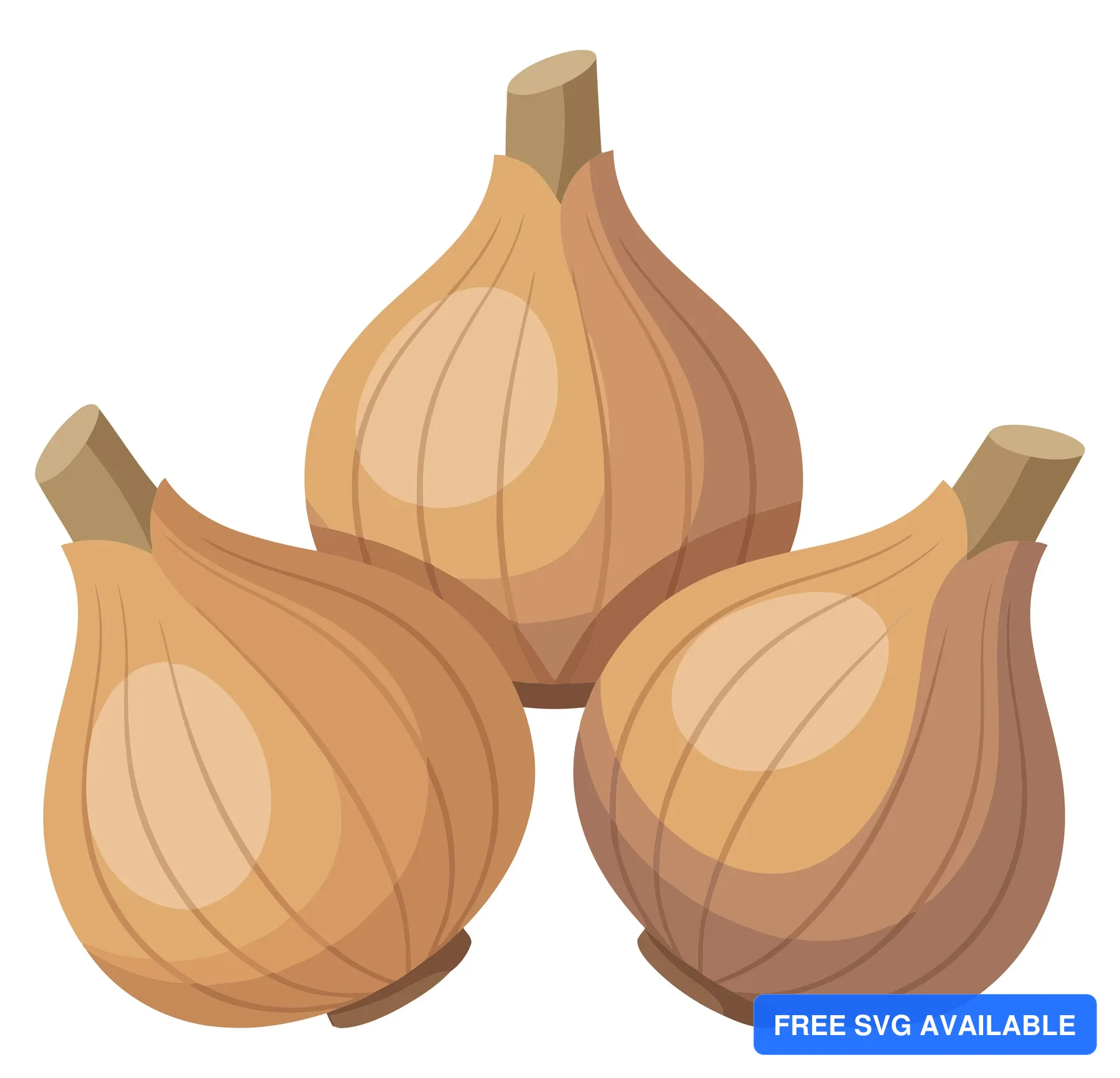 three fresh brown onions with stems isolated on white background