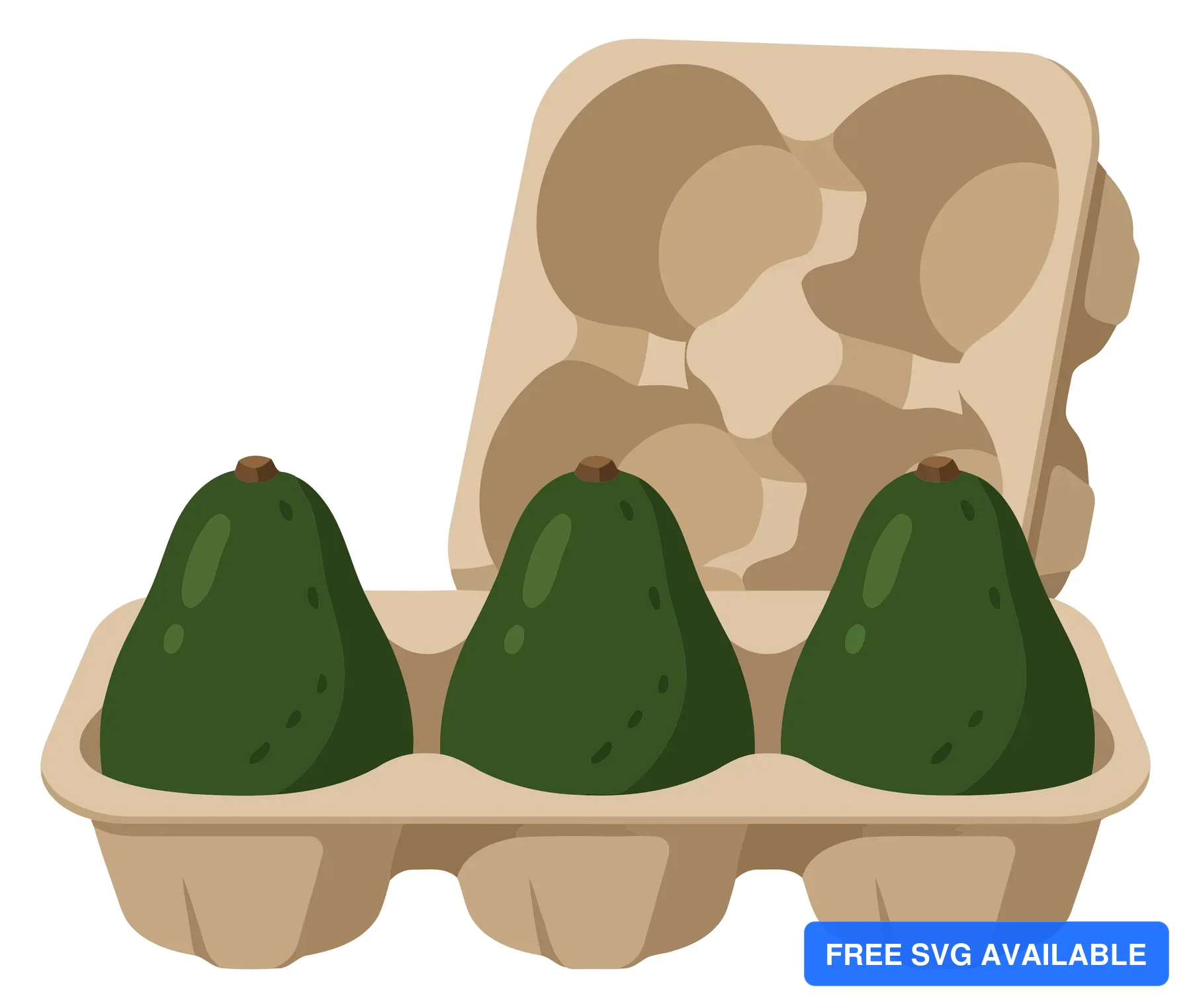 three fresh whole avocados arranged in a cardboard egg carton container, healthy organic food concept, vector illustration isolated on white