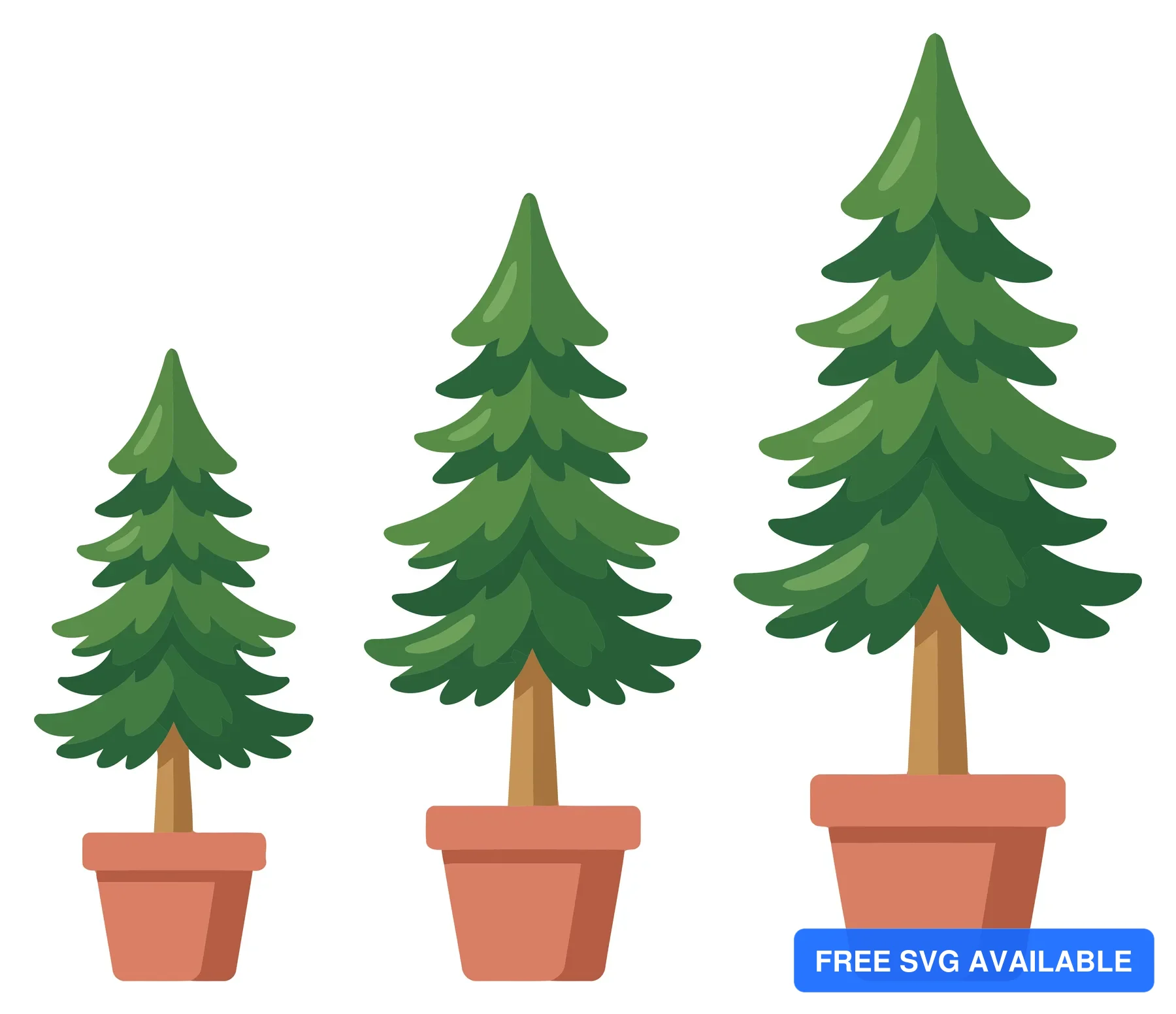 three pine trees in pots growing in size