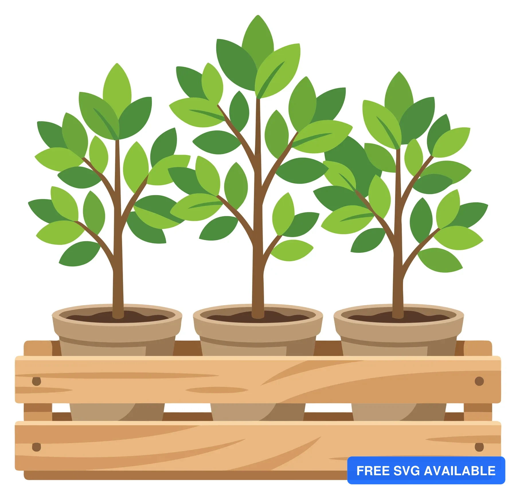 three small green potted plants arranged in a rustic wooden crate, vector illustration of indoor gardening and home decor elements