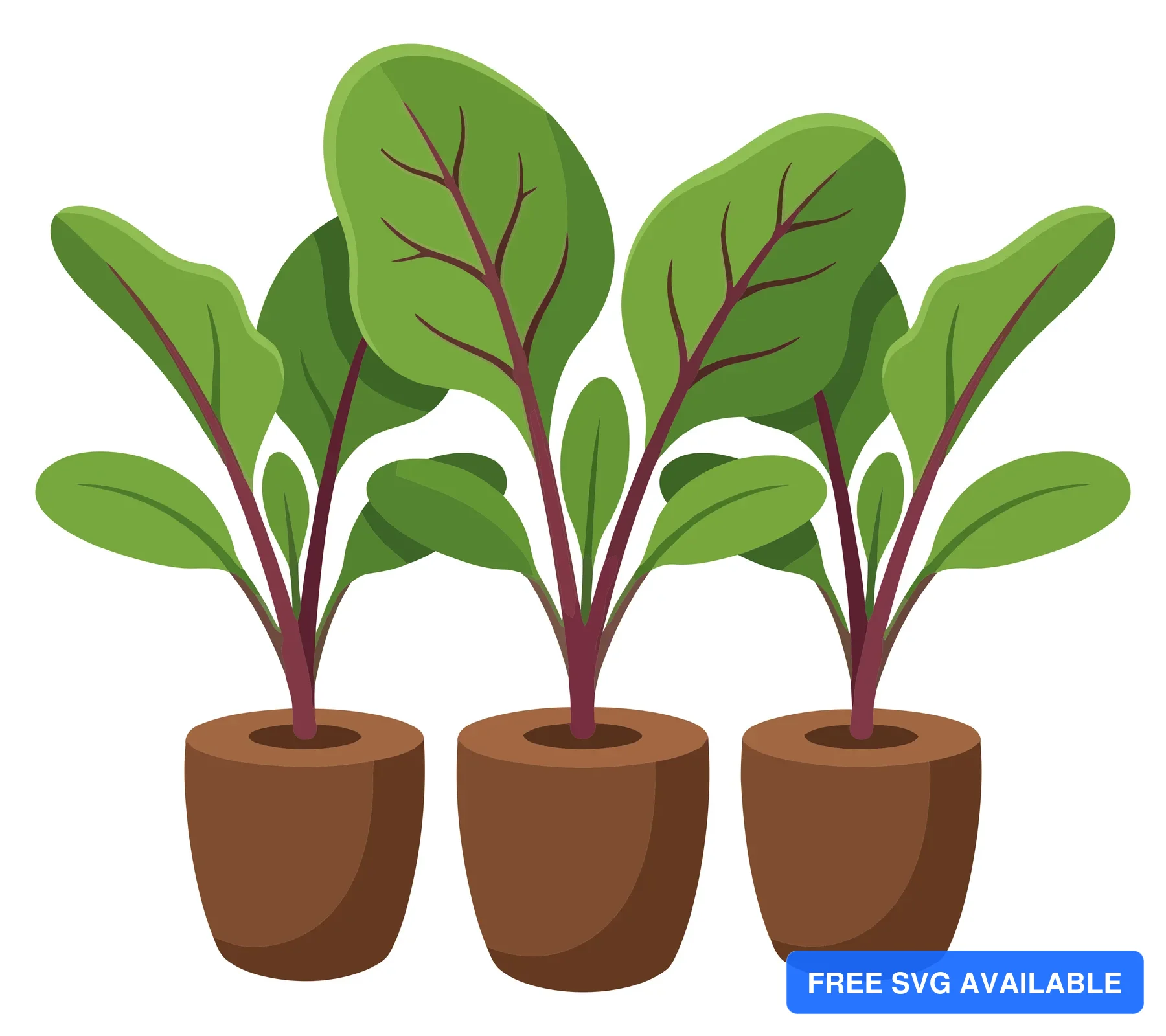 three young beet plants growing in small brown pots, vibrant green leaves with reddish stems, flat vector illustration of gardening seedling
