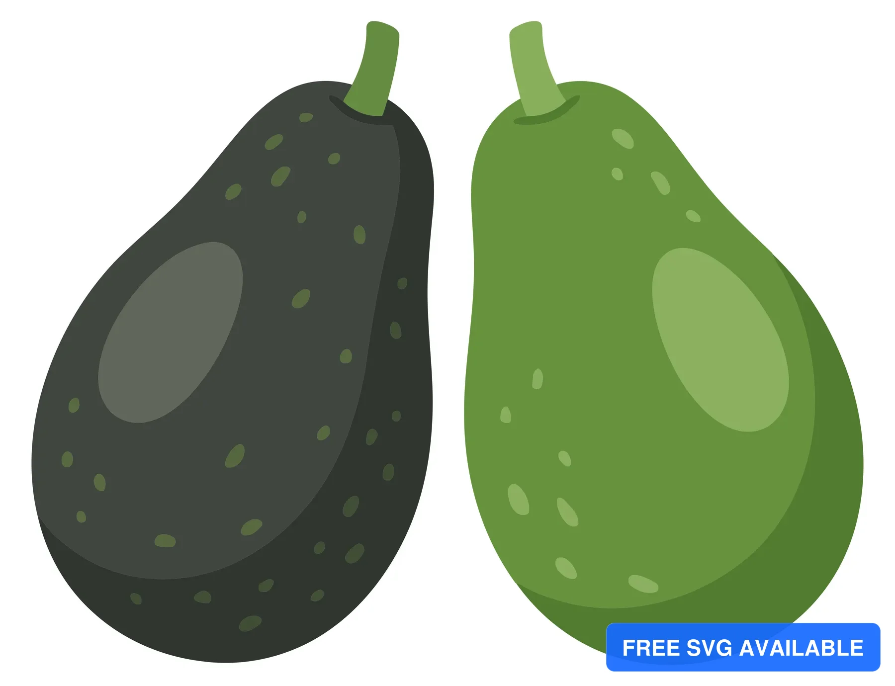 two fresh avocados with different skin colors, a dark ripe one and a light green unripe one, isolated on white background