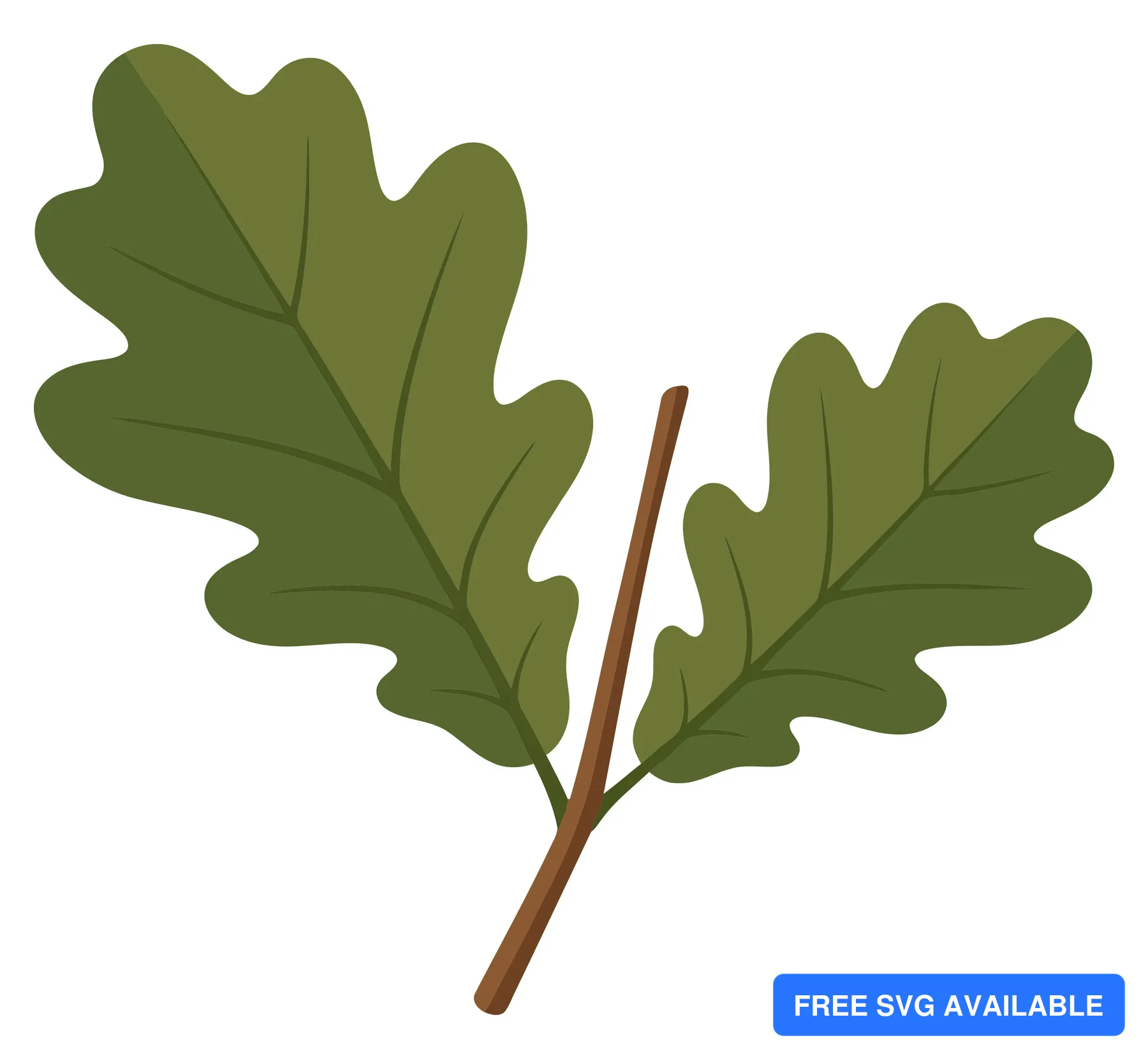 two green oak leaves on a brown twig