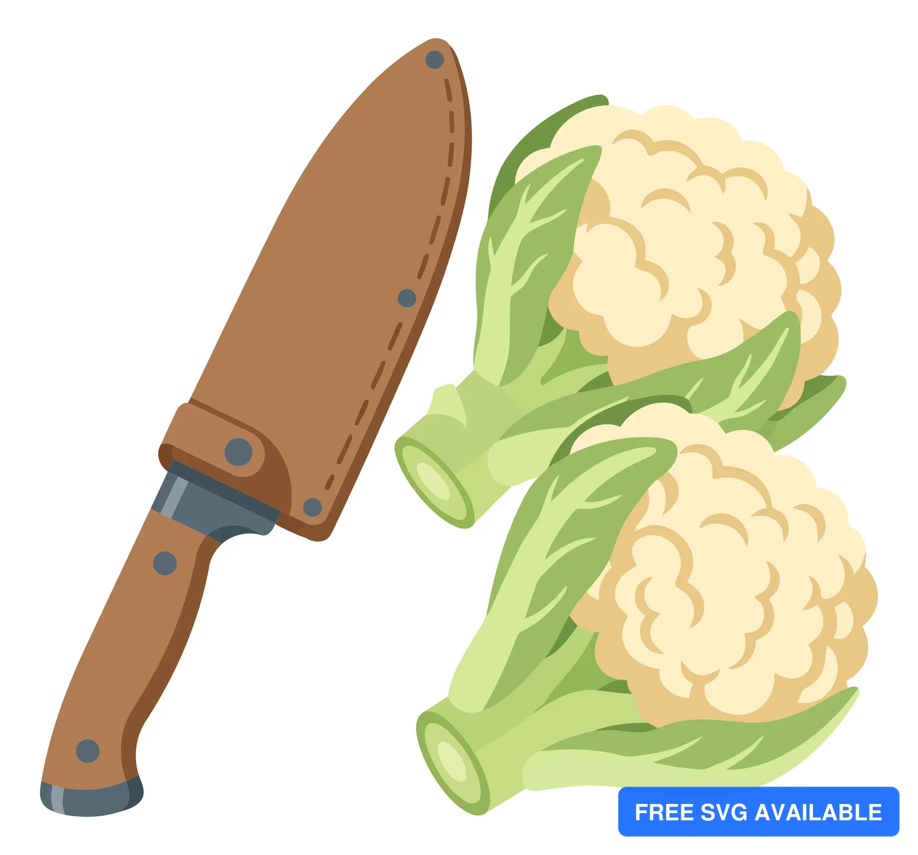 two heads of cauliflower with leaves and a knife in a sheath isolated on white background