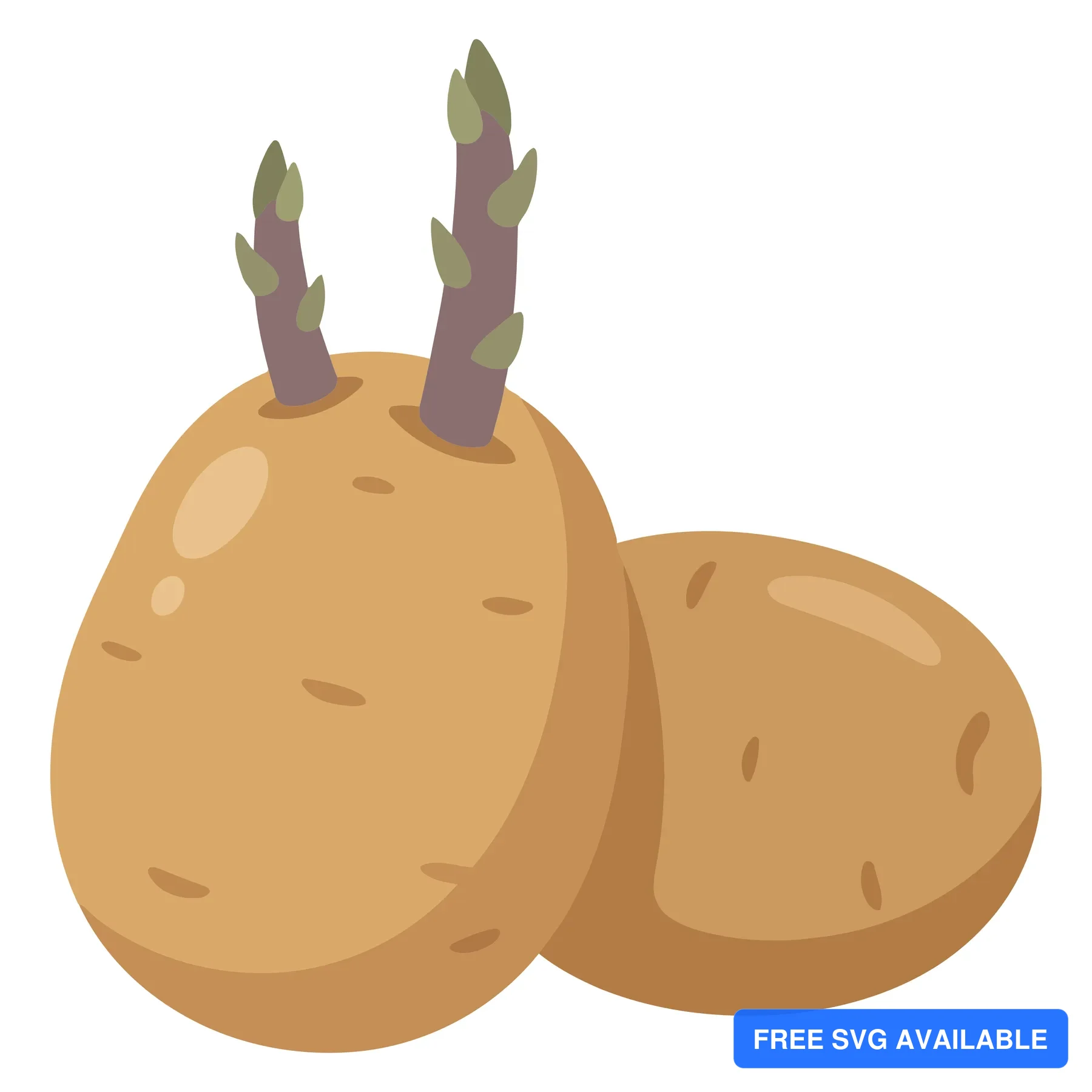 two raw potatoes, one with green sprouts growing, isolated on white background