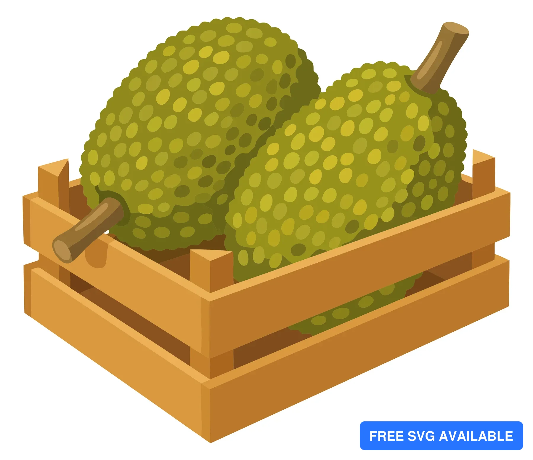 two whole jackfruit in a wooden crate, tropical fruit harvest, fresh agricultural produce, organic farming concept, vector illustration isol
