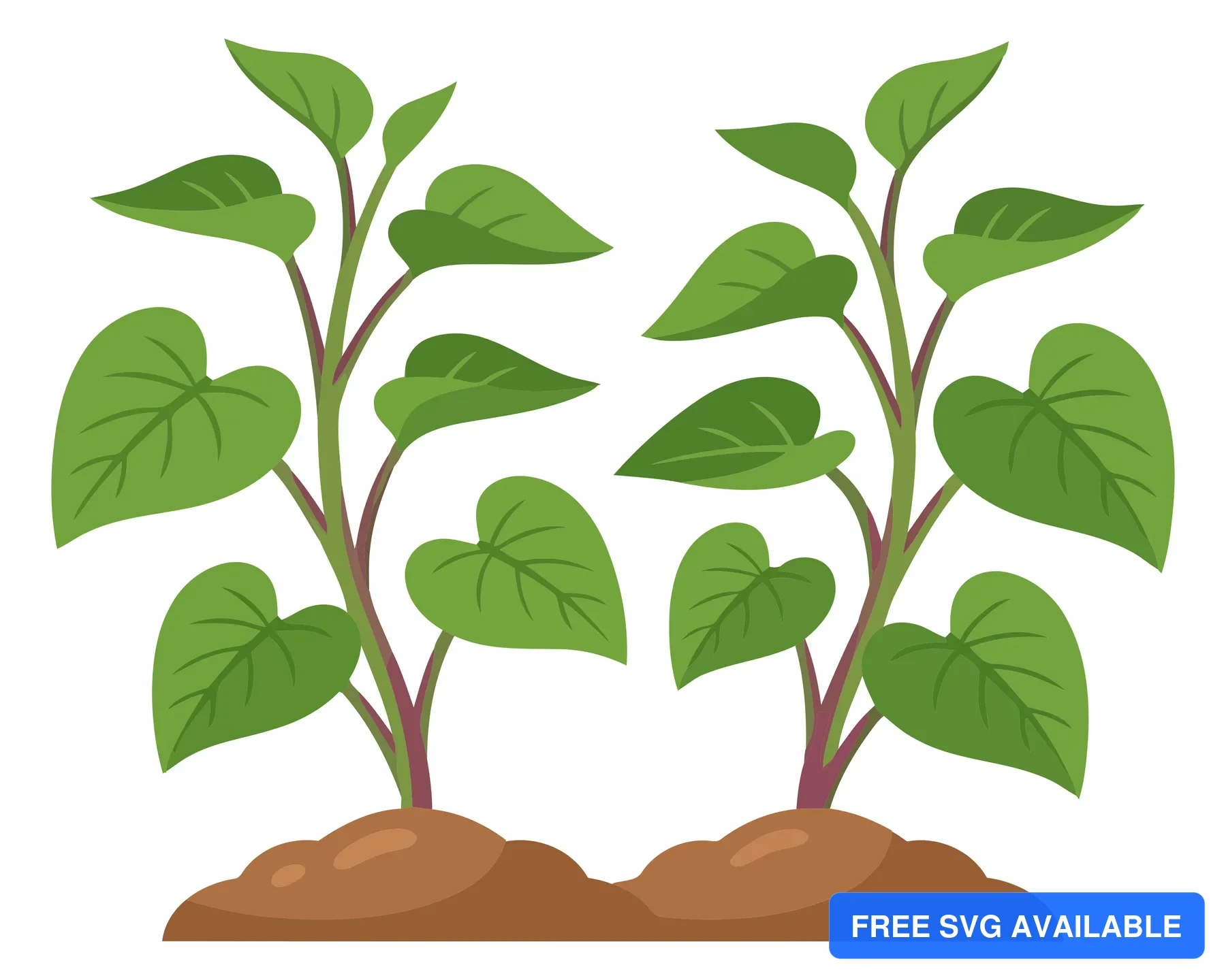 two young green plant sprouts growing from the soil, illustration of small seedlings with heartshaped leaves