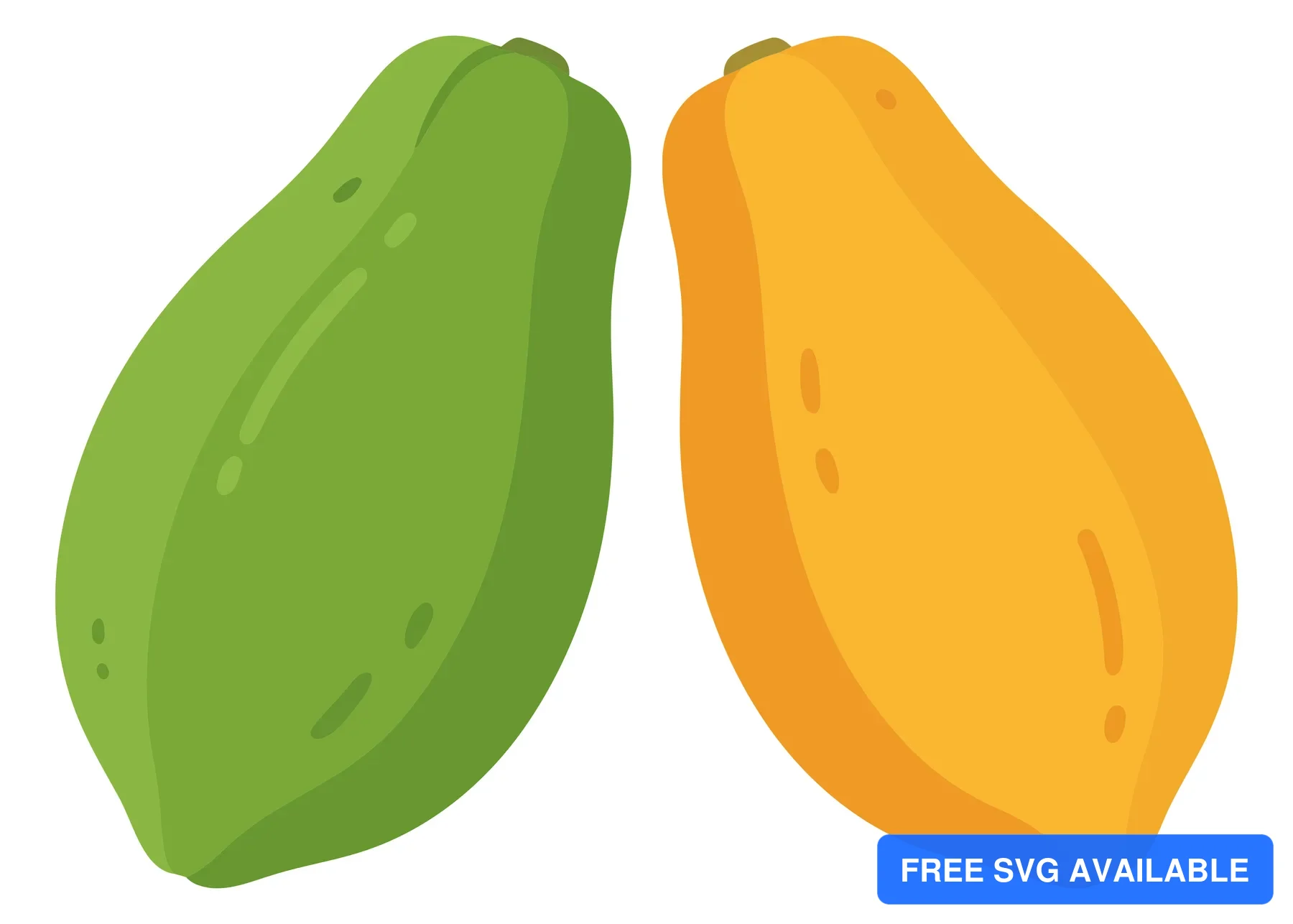 unripe green and ripe orange papayas isolated on white background