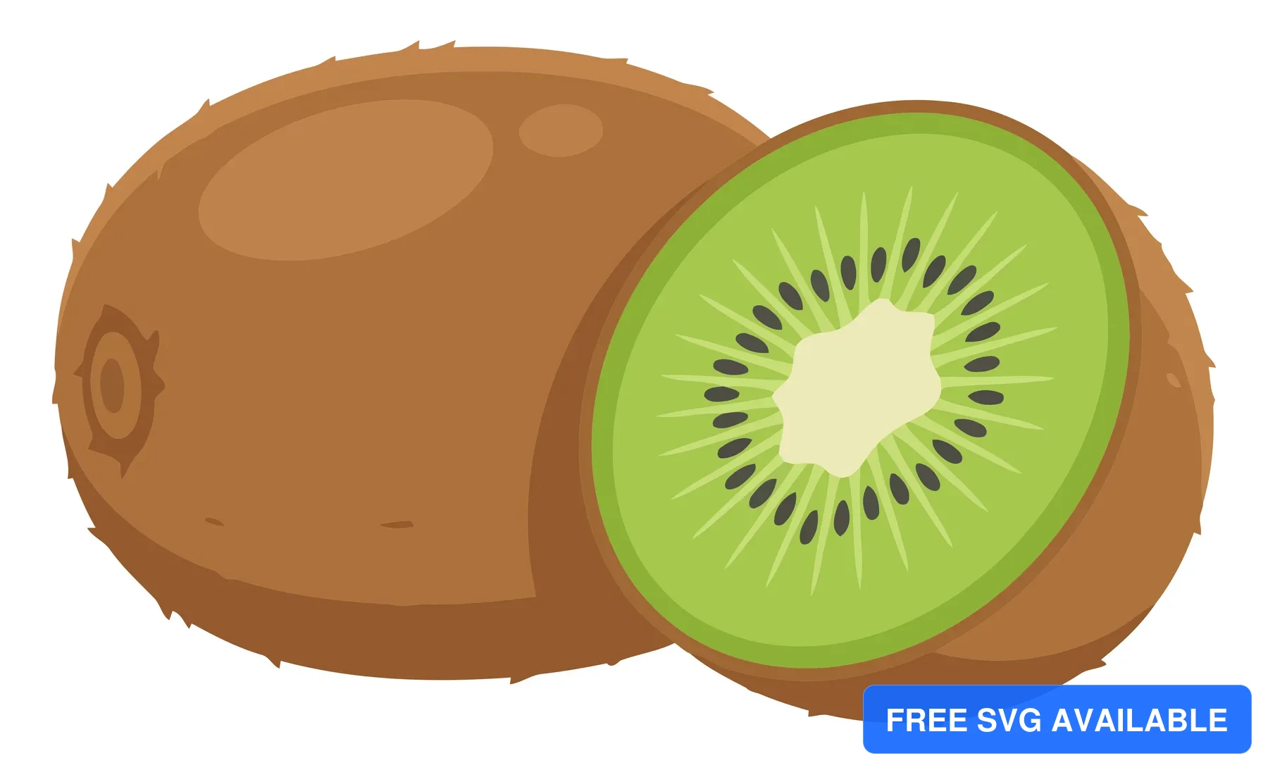 whole and sliced kiwi fruits vector illustration isolated on white background