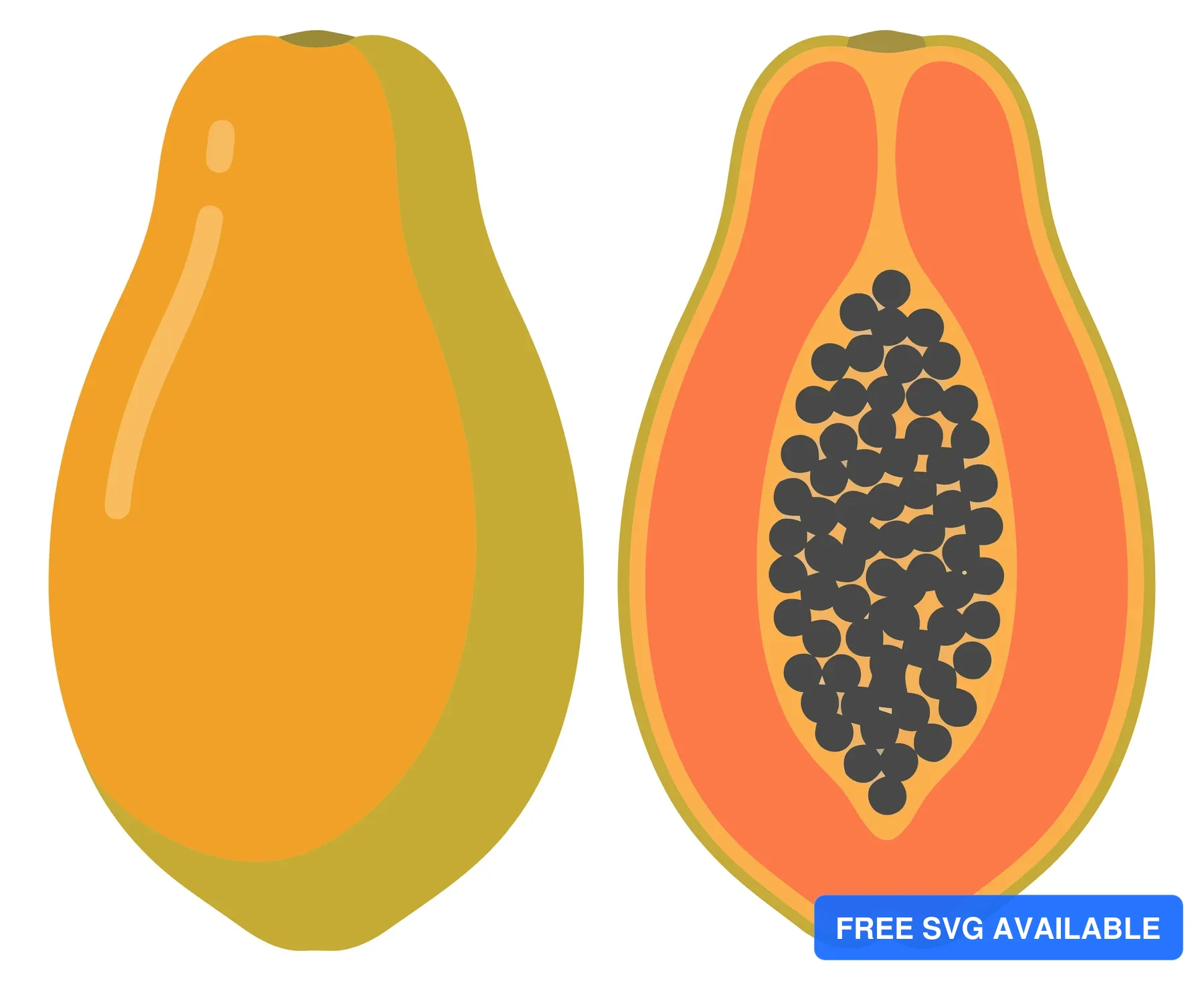 whole and sliced papaya fruit with black seeds inside, vector illustration of tropical exotic fruit isolated on white background
