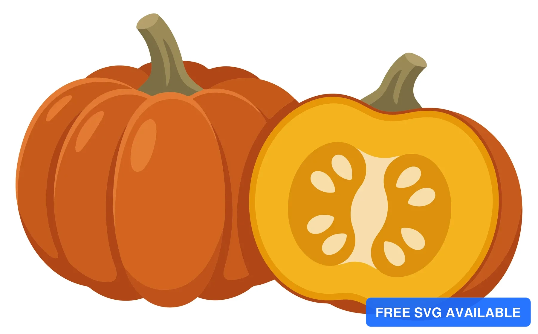 whole and sliced pumpkin illustration isolated on white background