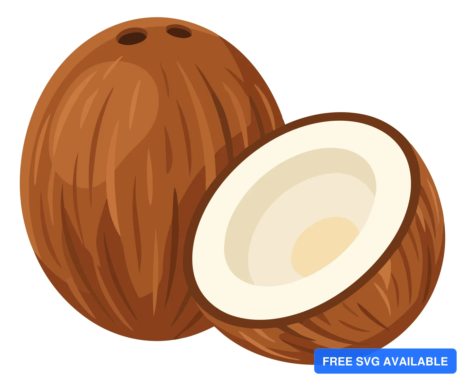 whole coconut and one cut open in half isolated on white background