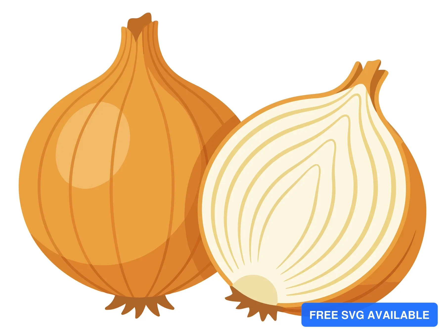 whole yellow onion and a half onion isolated on white background