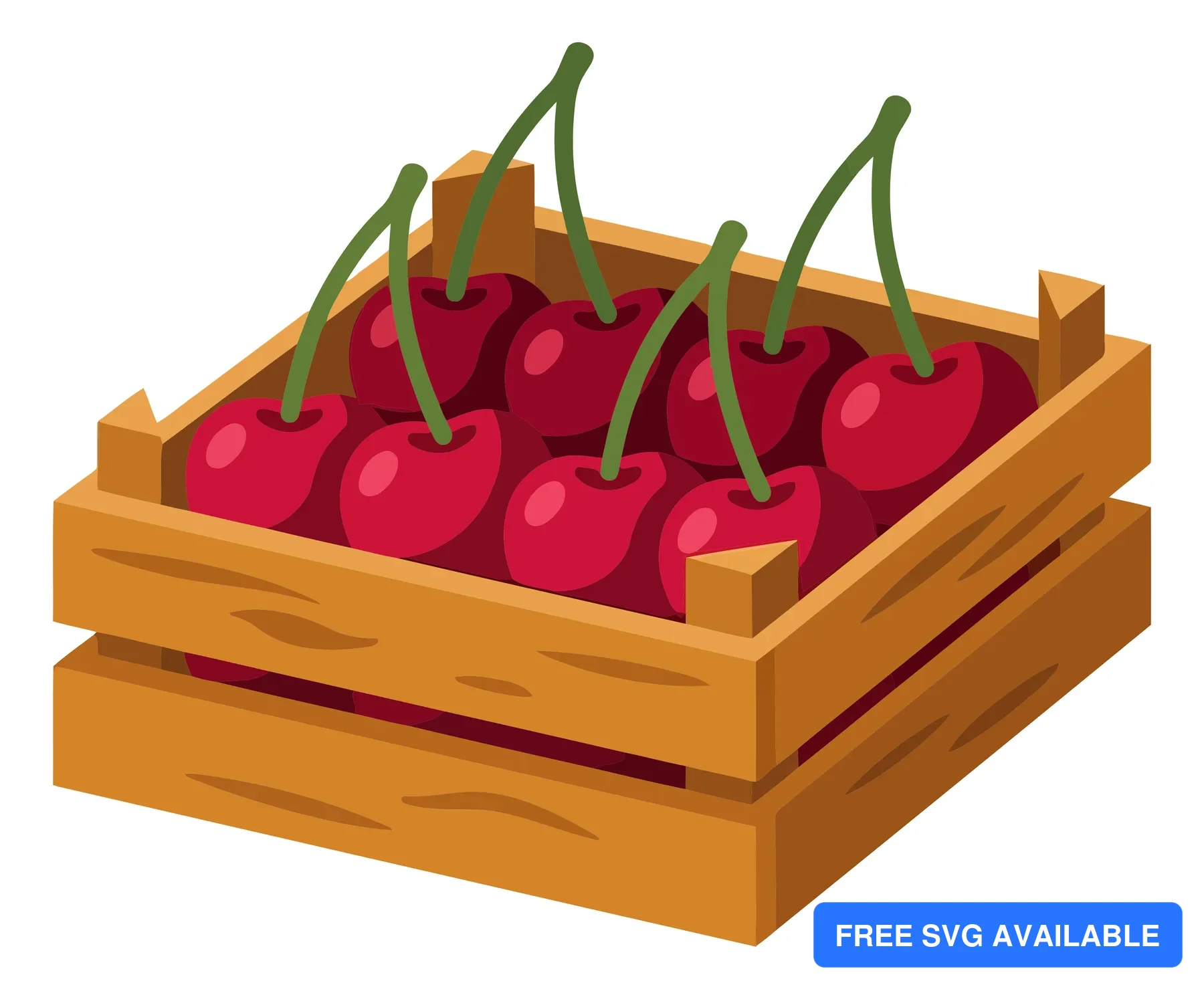 wooden crate filled with fresh ripe red cherries isolated on white background