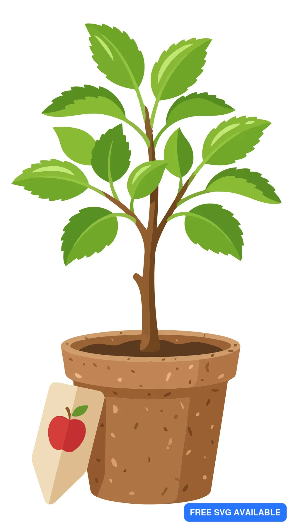 young apple tree sapling growing in a brown clay flower pot with a plant label tag