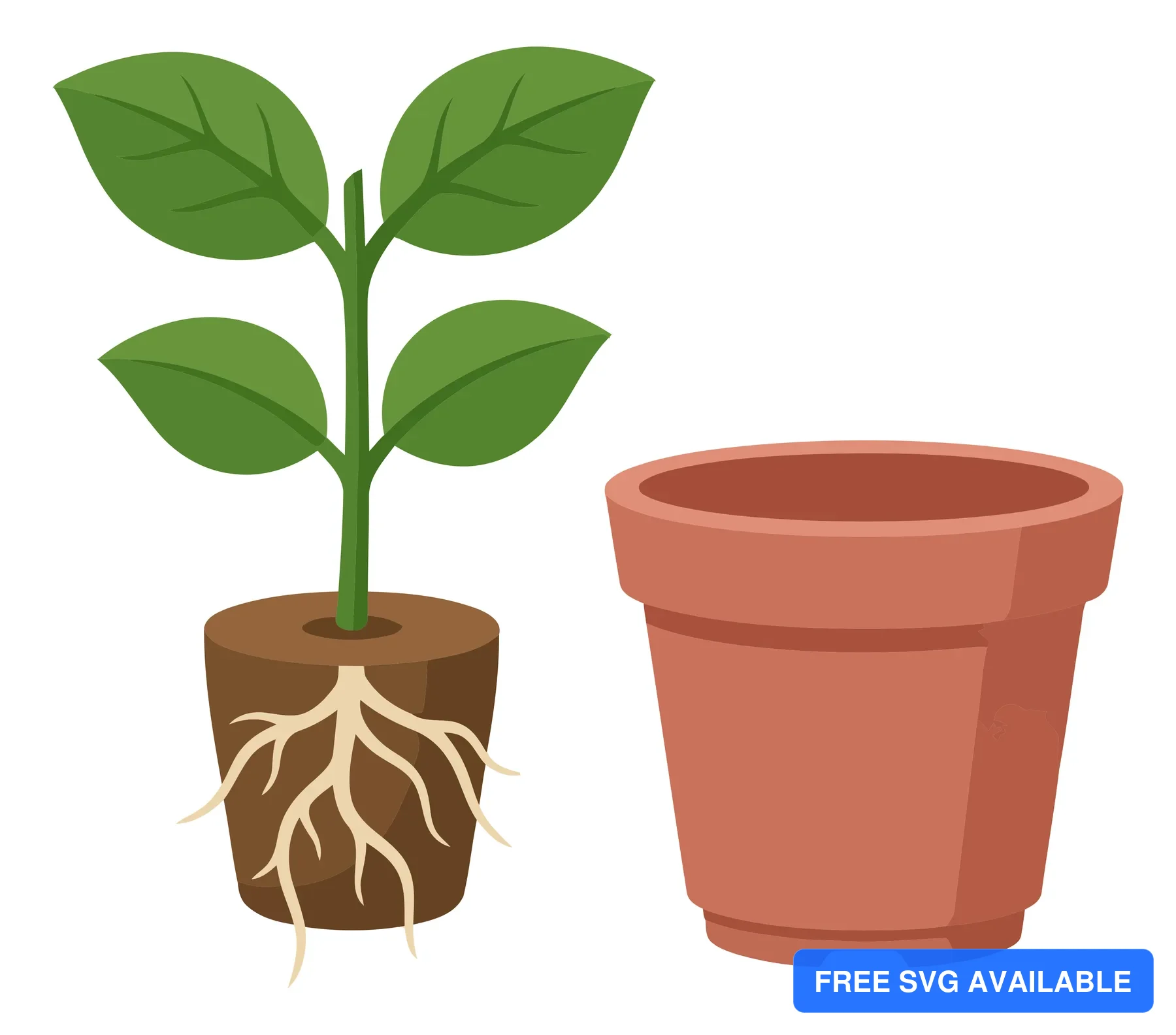 young green plant with roots and empty terracotta pot isolated on white background