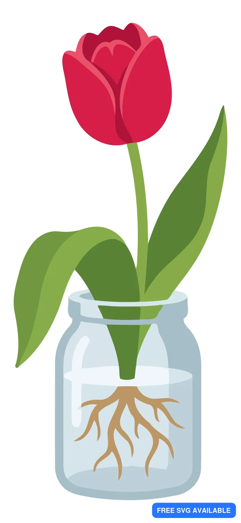A red tulip in a glass jar with visible roots, stylized illustration