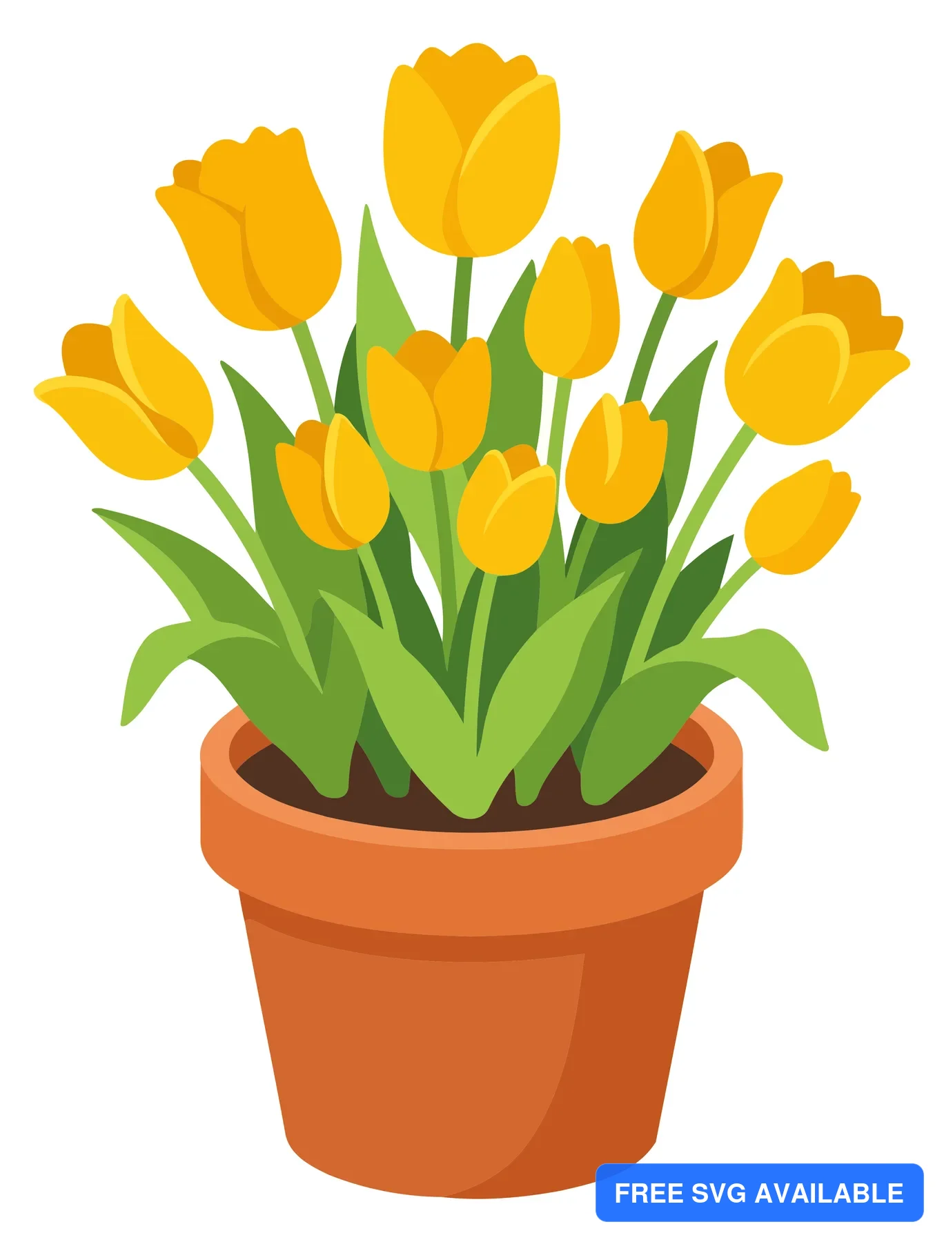 A bright yellow tulip flower arrangement in a terracotta pot with green leaves
