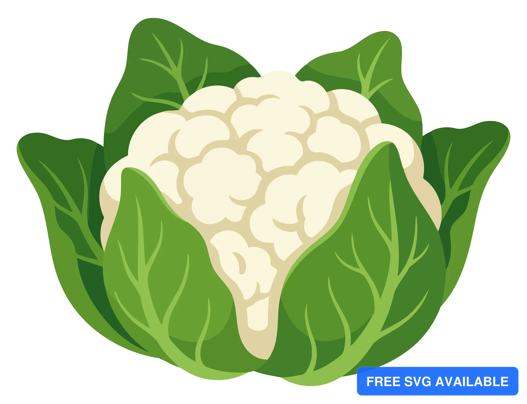 A stylized illustration of a cauliflower with green leaves